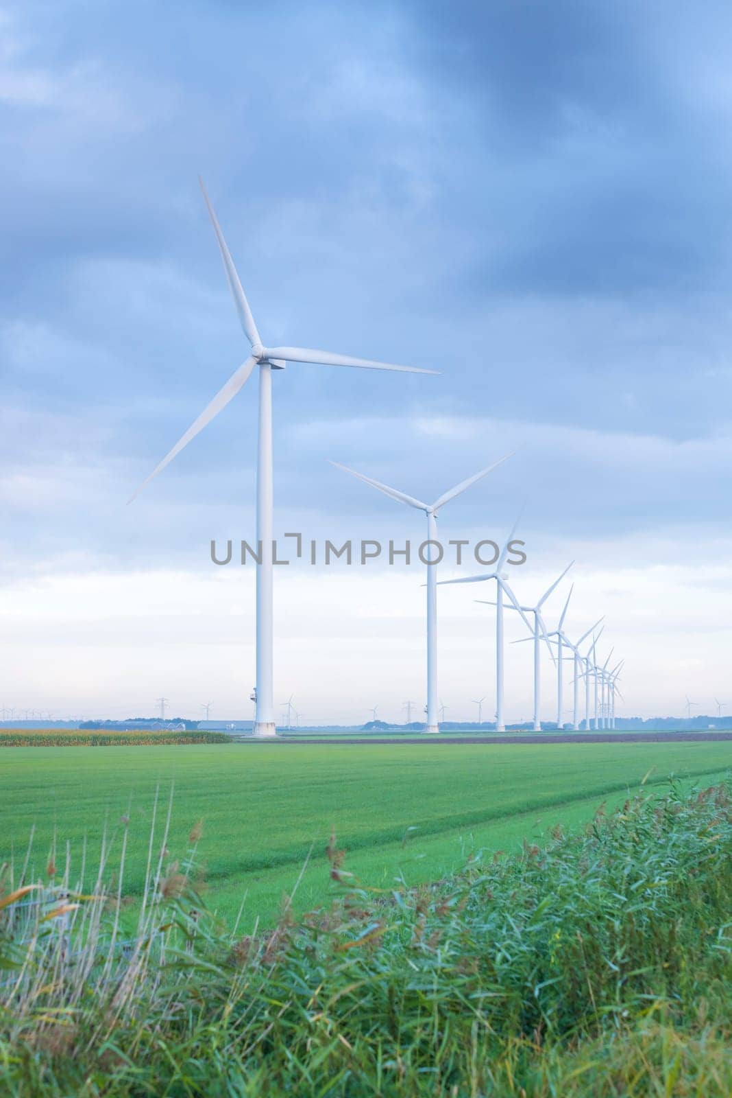 row of wind turbines in early morning in a flat dutch landscape