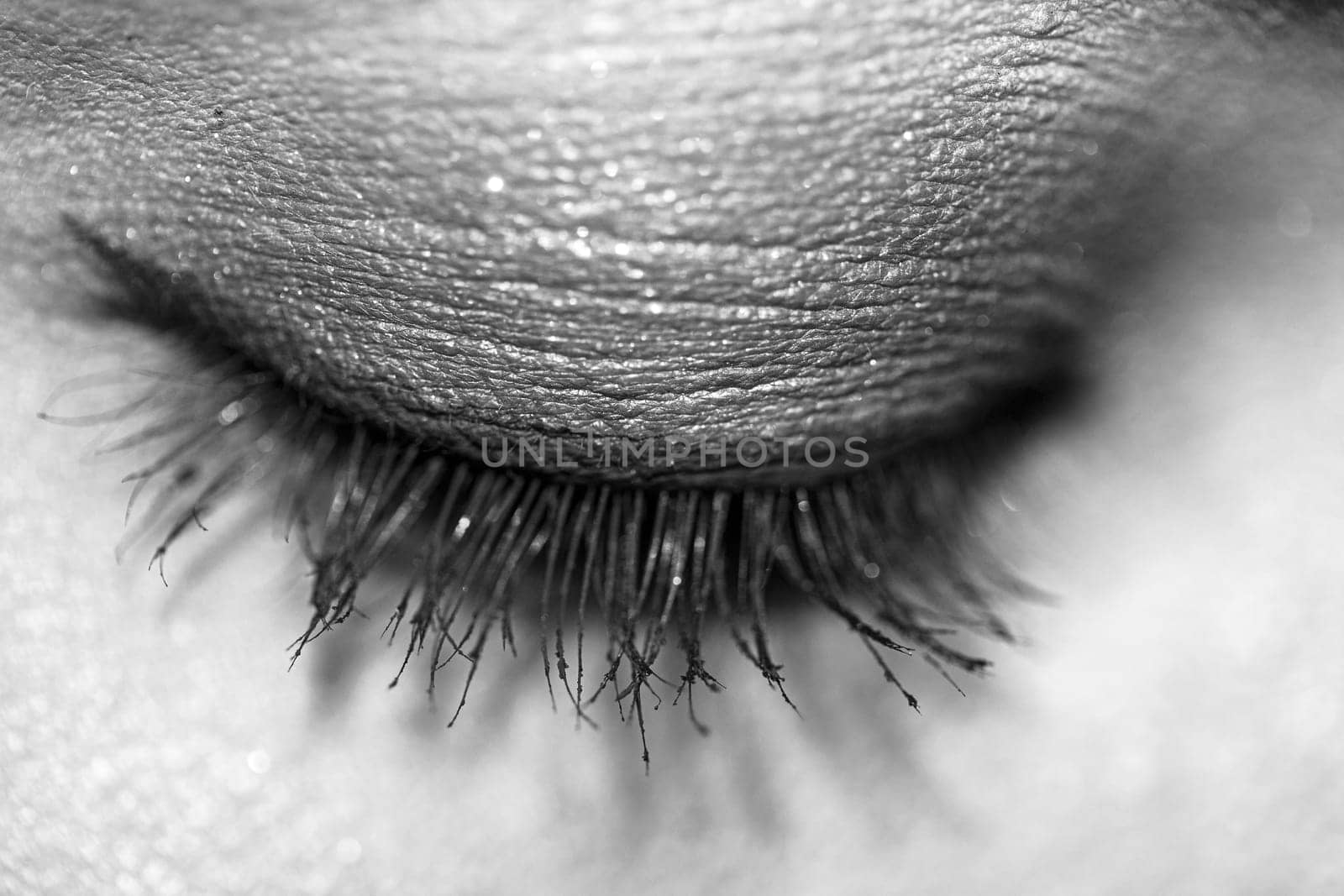 eyelashes macro closed eye fashion black white