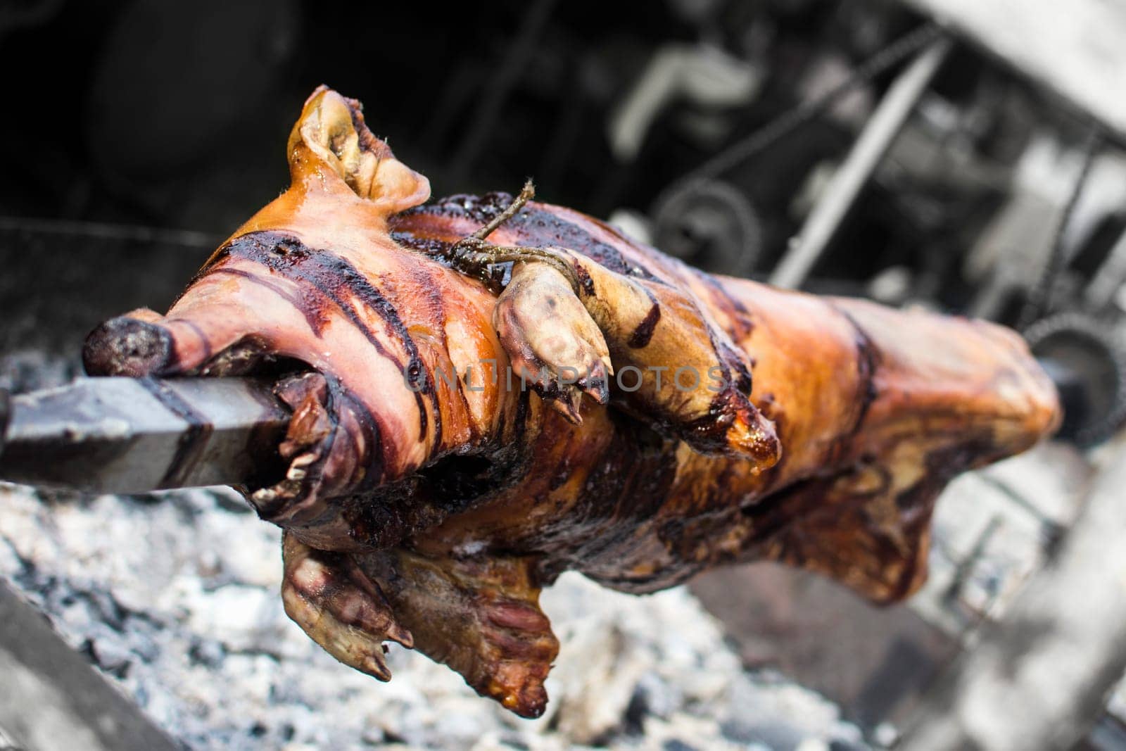 On the spit is roasting a young pig. Pork.