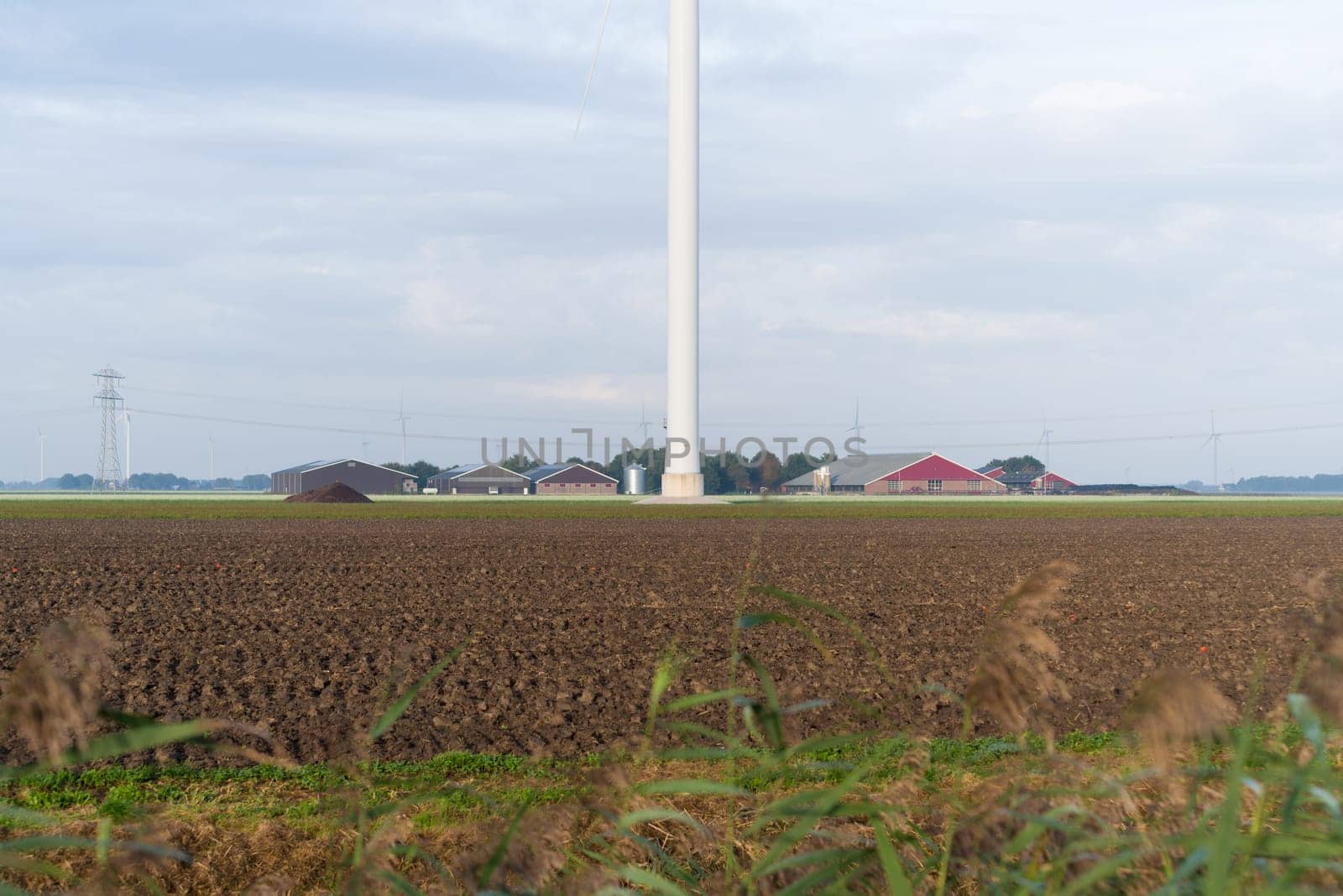 dutch farm with large windmill in front