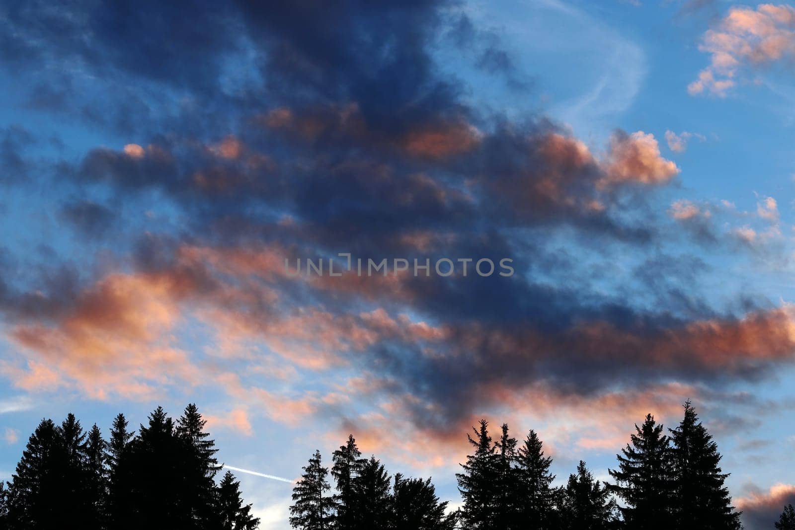 Colorful clouds in the evening sky over a forest