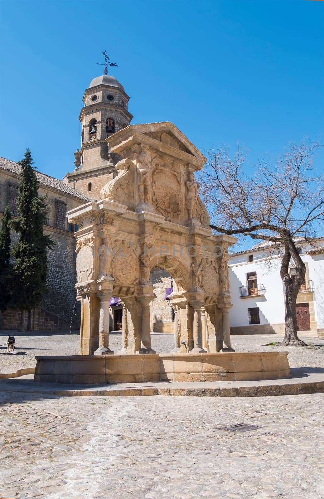 Santa Maria square, Santa Maria fountain, Baeza cathedral, Jaen, Spain