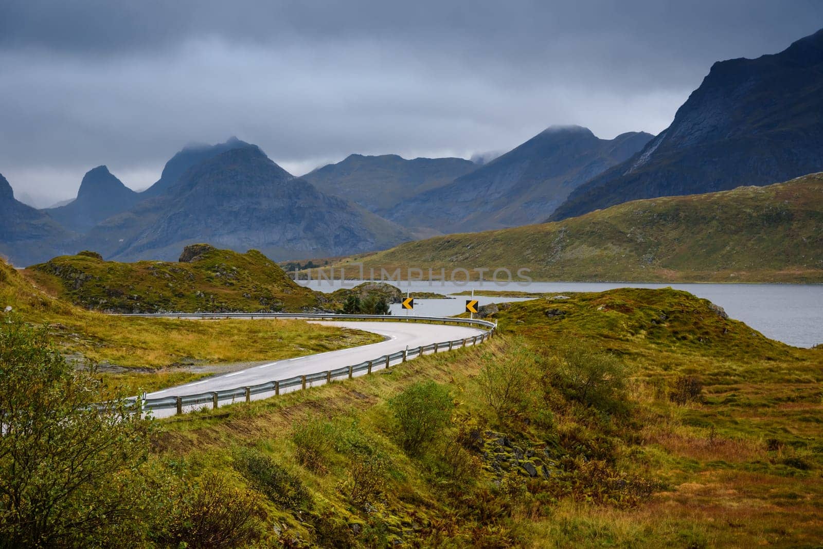 Asphalt sharp curved road along the forest and mountain, Lofoten, Norway