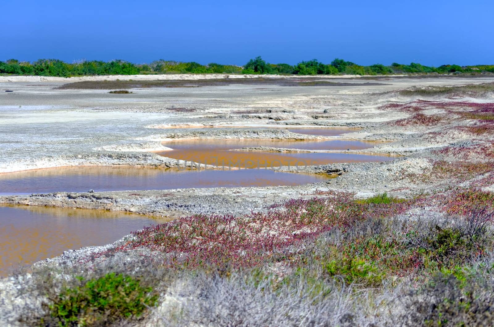 View of area with small pools of salt in Rio Lagartos in the Yucatan Peninsula in Mexico