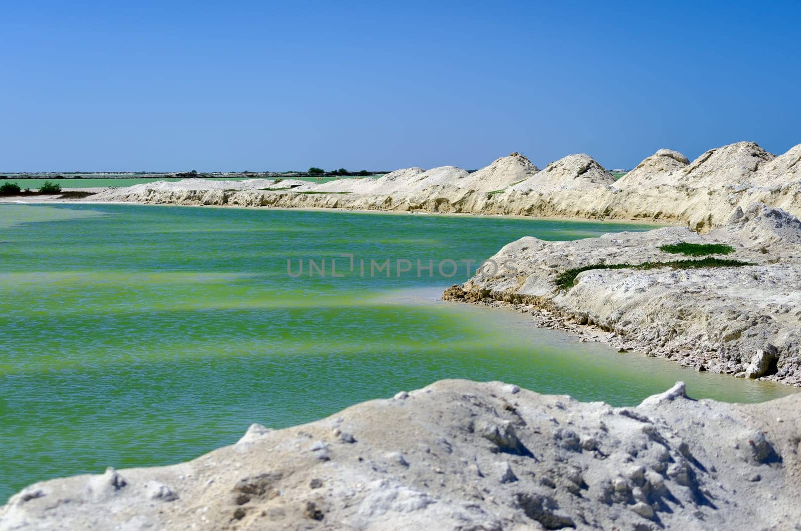 Green salt pool in Rio Lagartos in Mexico