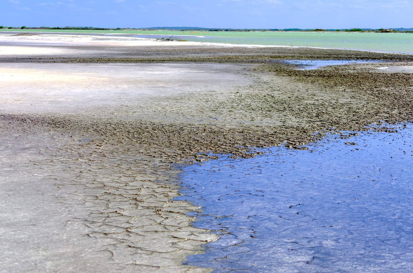 View of salt area in Rio Lagartos in Mexico