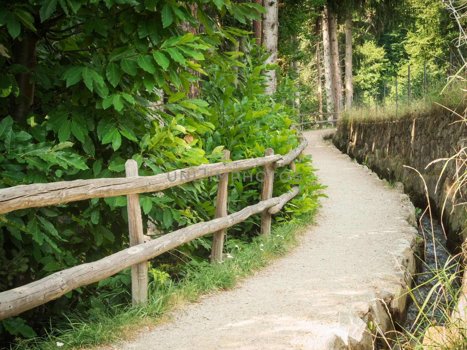 Idyllic hiking trail with railings and small irrigation flow through a forest above the city of Merano in South Tyrol.