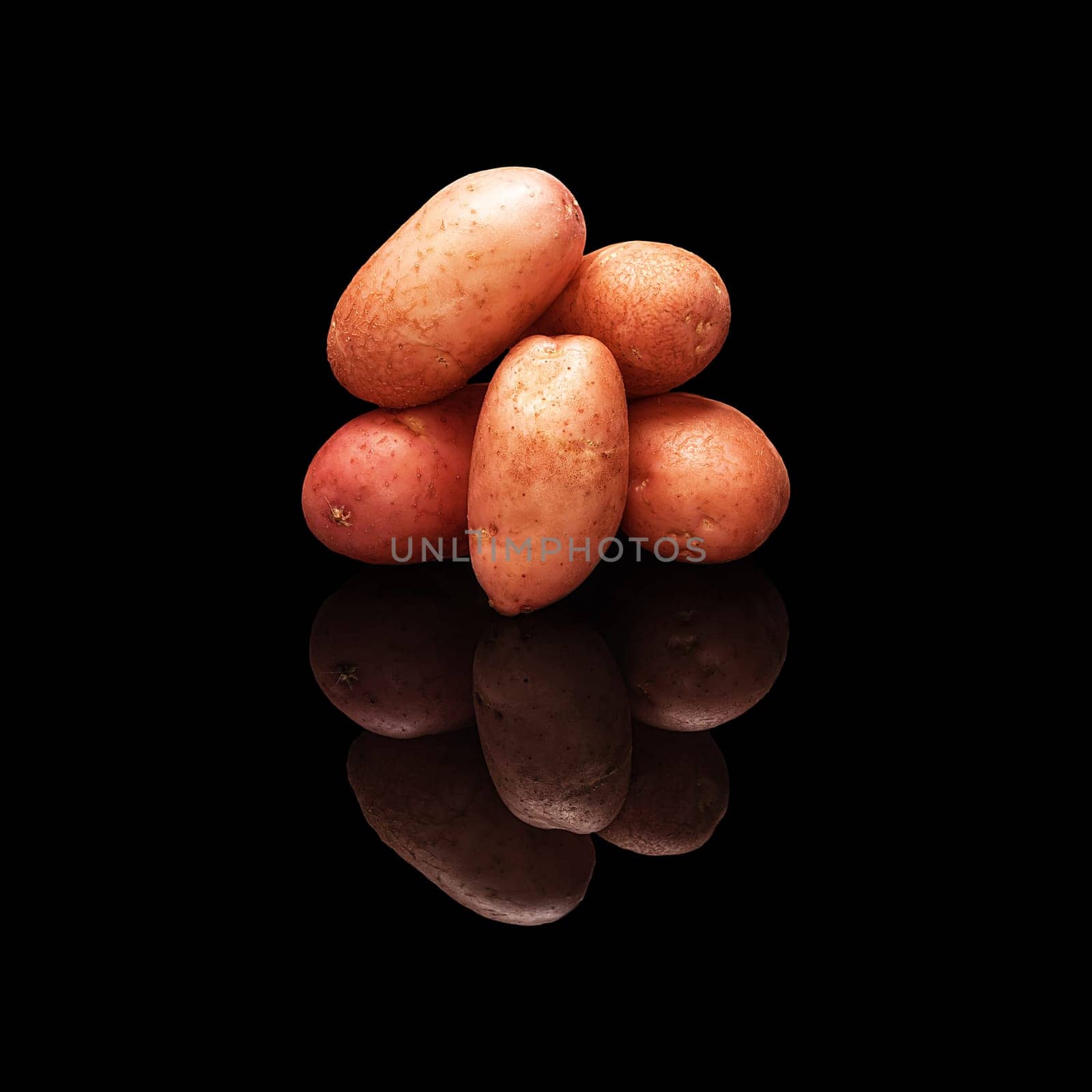 Pile of rose potatoes isolated on a black glossy background with real reflection