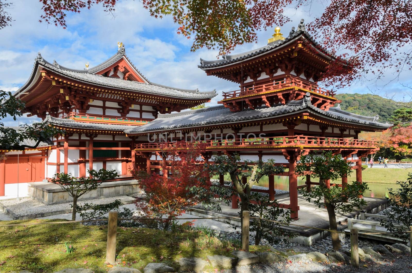 Beautiful architecture of Phoenix Hall with autumn color in Byodo-in temple which is a Buddhist temple in Uji city, Kyoto Prefecture, Japan