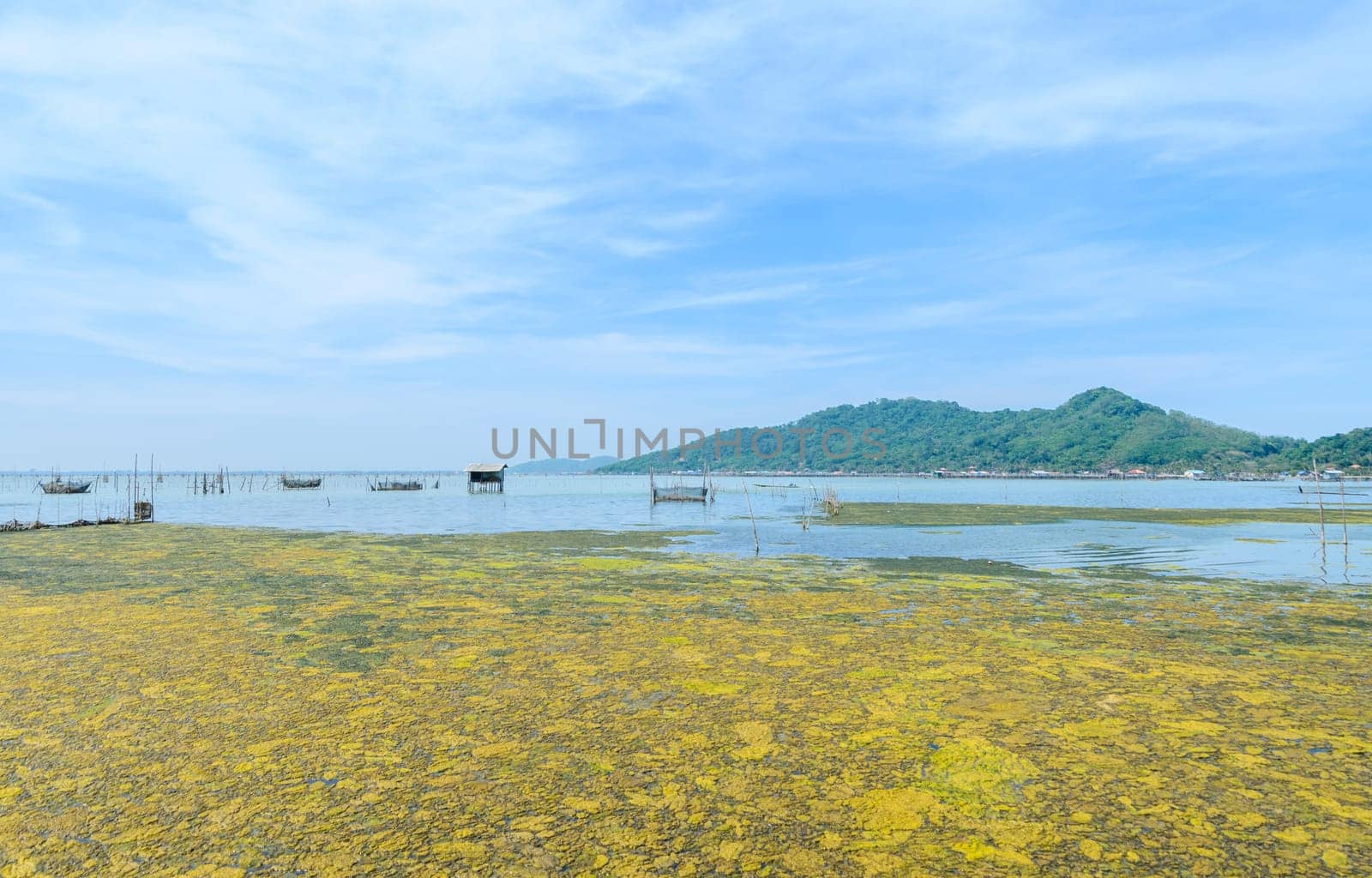 Algal bloom in a tropical ocean and marine fish farming, Thailand