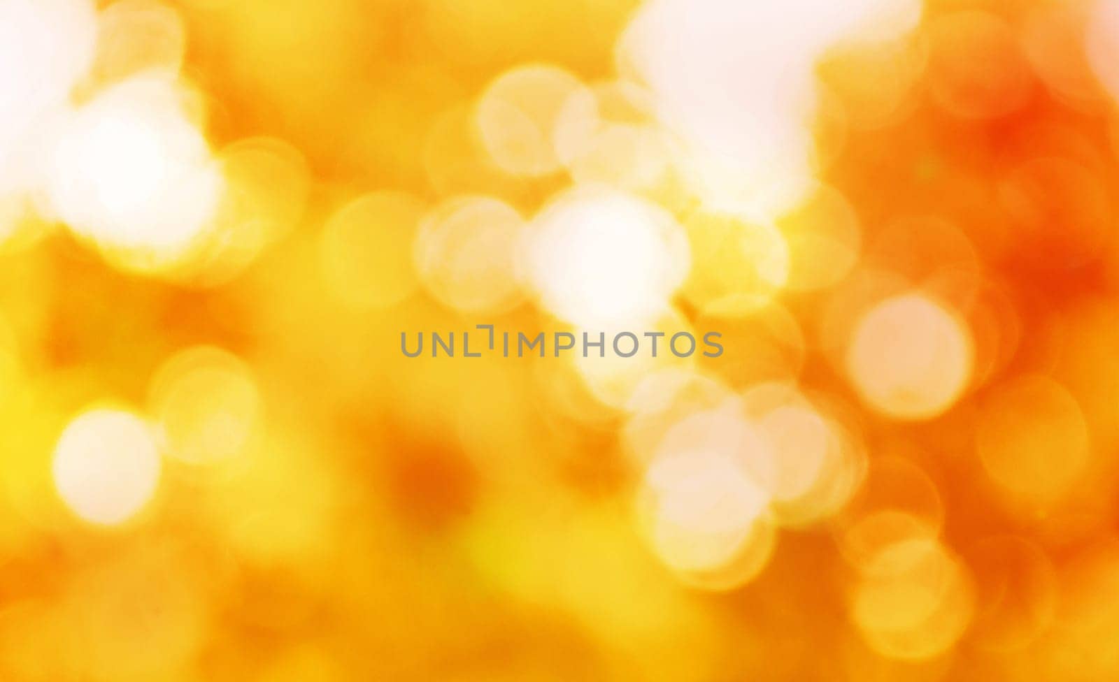 autumnal natural bokeh with sun for background