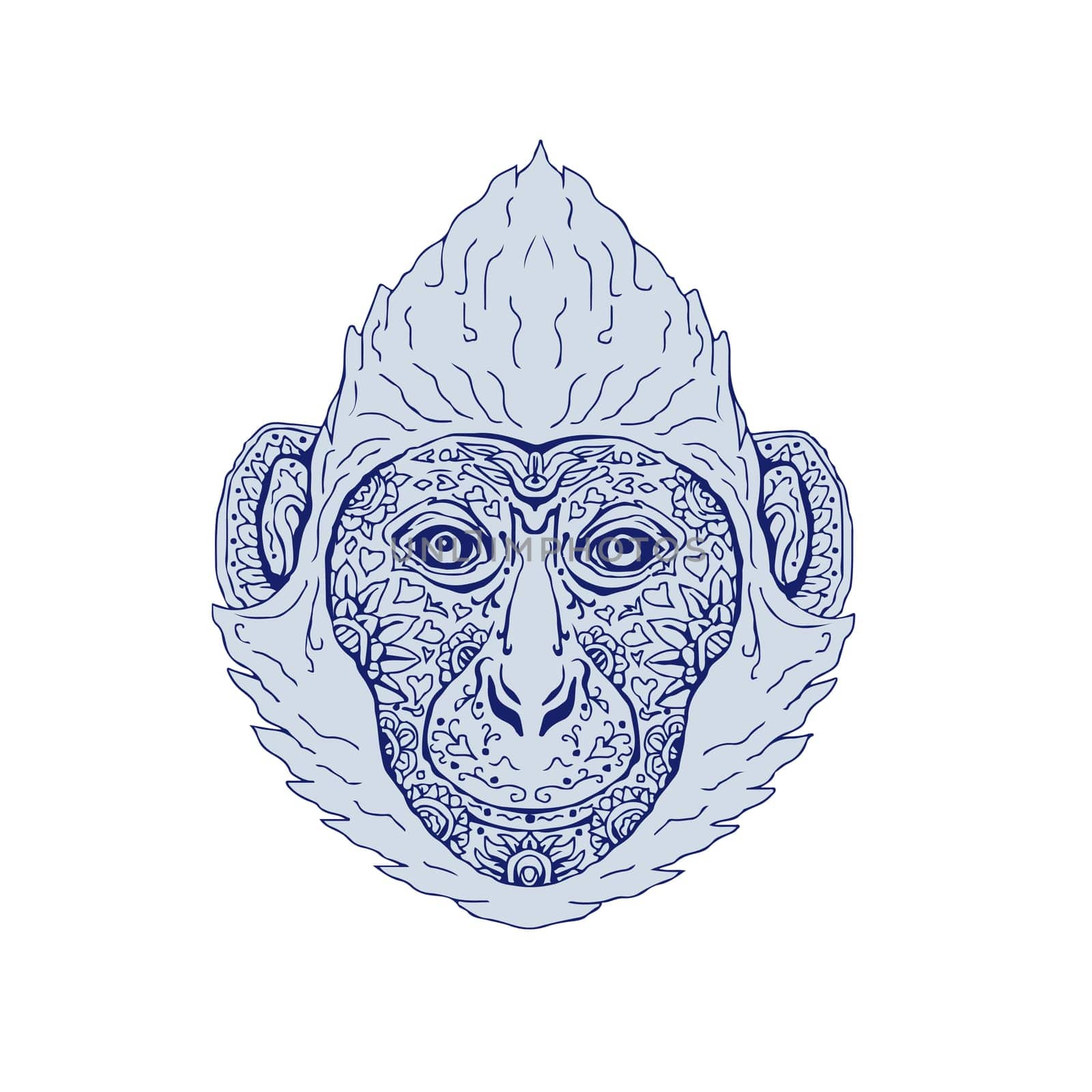 Illustration of a Cat Ba langur Head viewed front done in hand sketch drawing Mandala style.