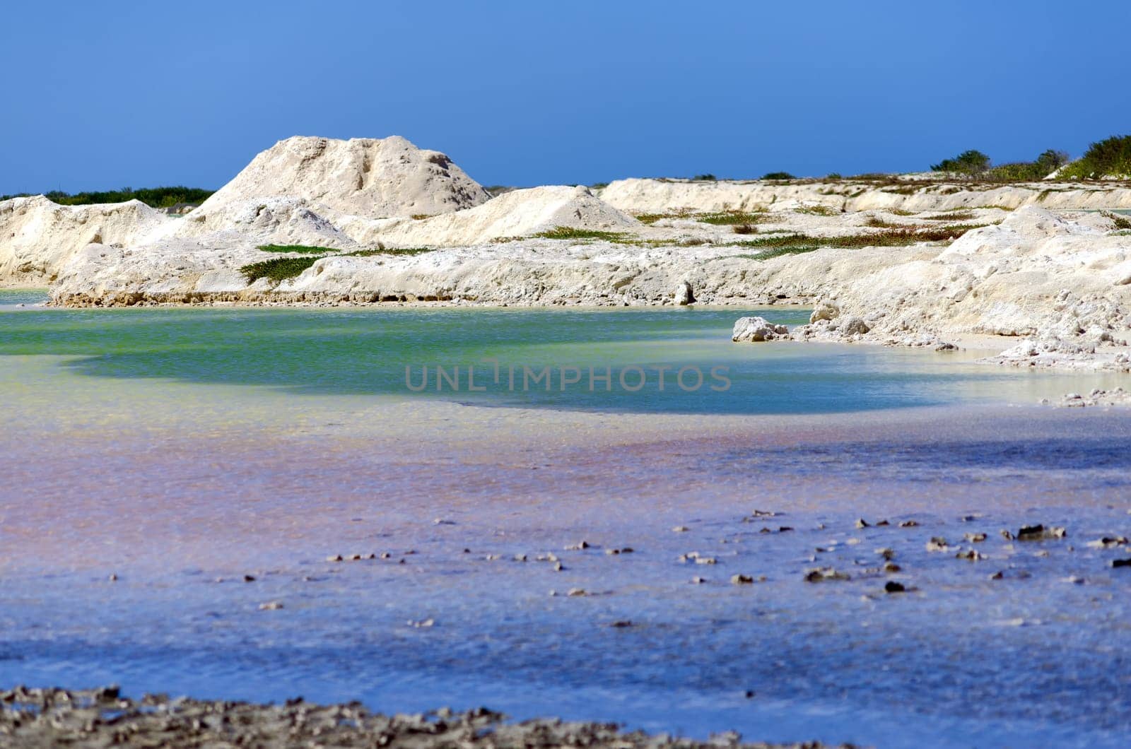 Salt mounds and pools in Rio Lagartos, Mexico