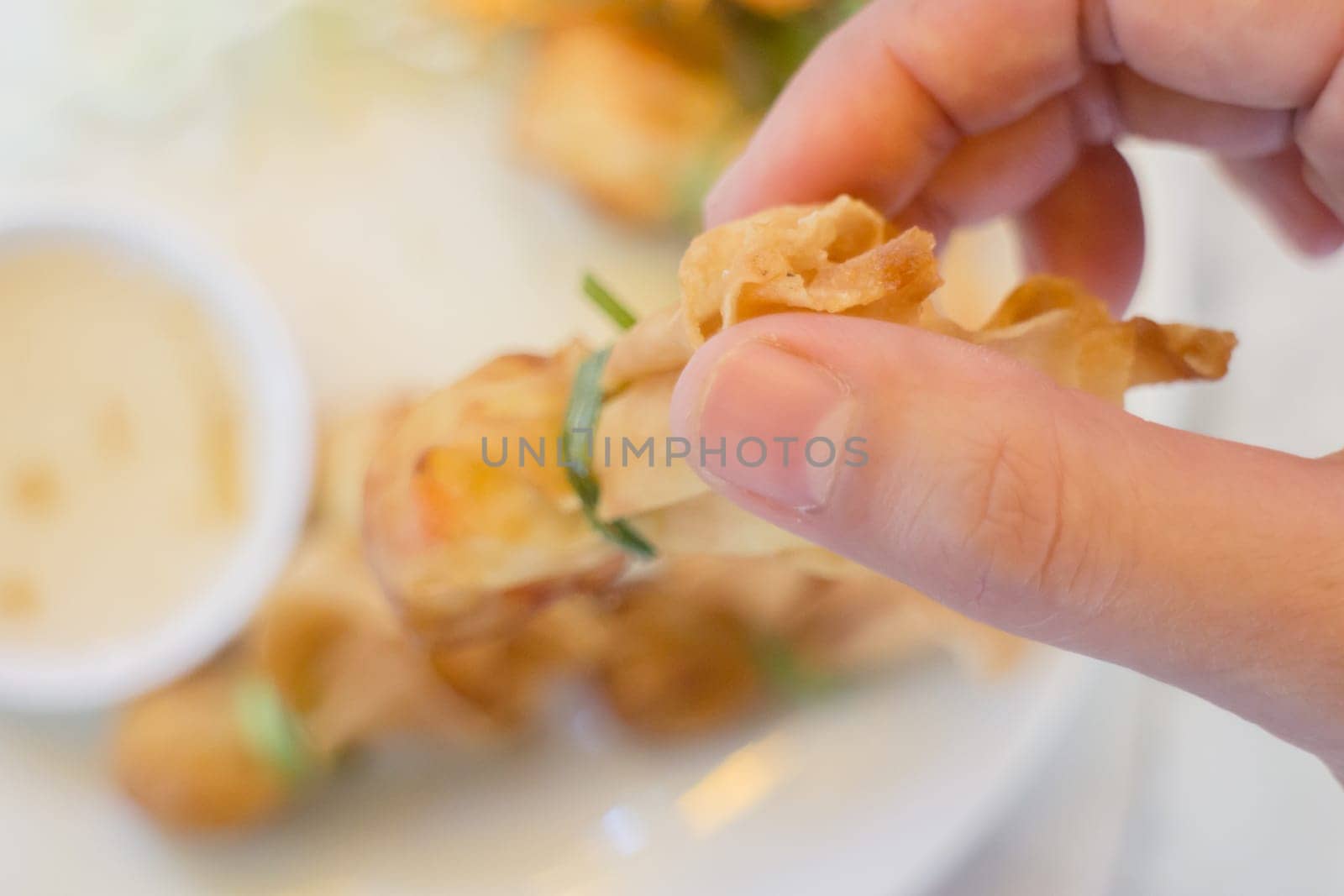 Deep fried dumpling bags local Thai cuisine, stock photo