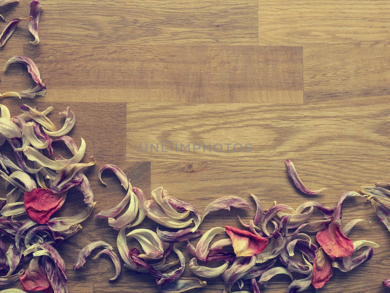 Autumn or thanksgiving background with space for text or image, retro film stylized