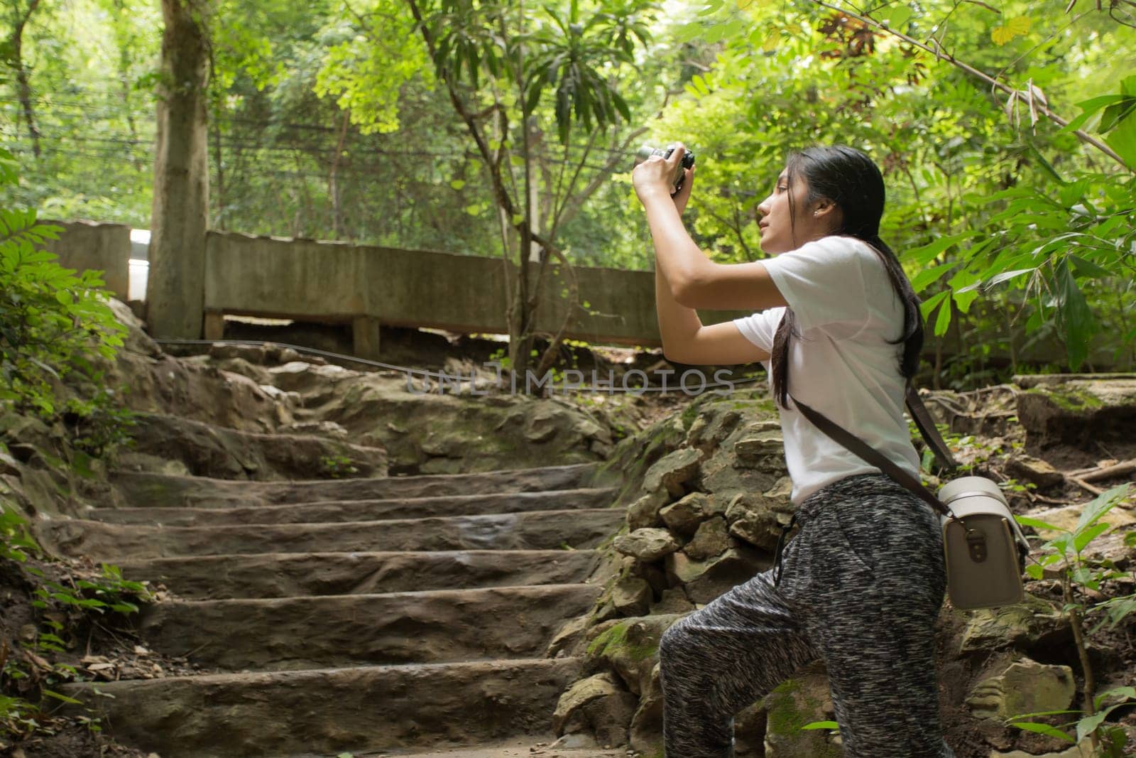 Young asian woman taking photos in autumn forest with camera