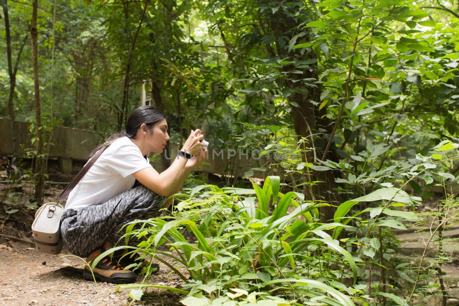 Young asian woman hiker stops to tie her shoe on a summer hiking trail in forest.