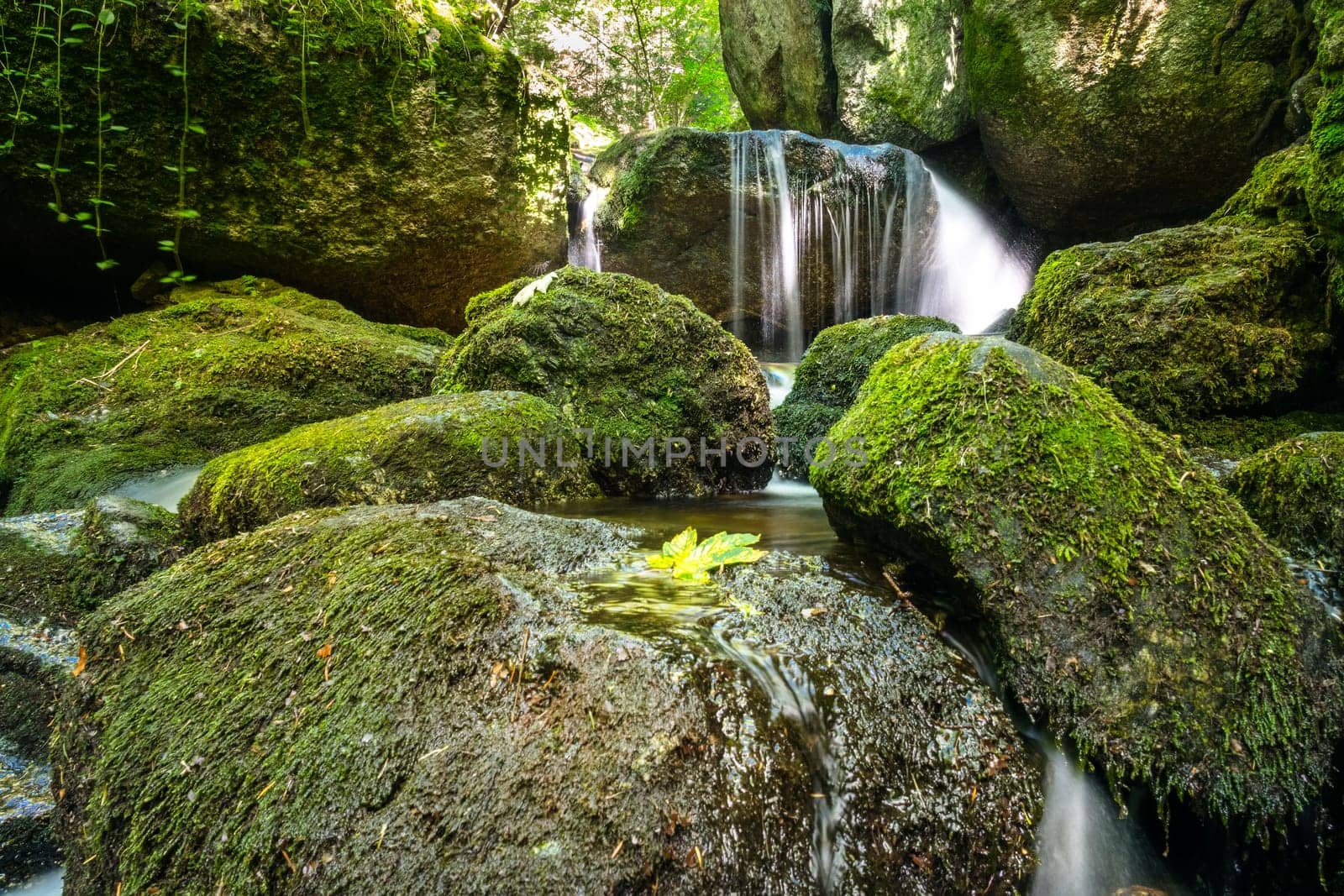 Forest with mountain stream,picturesque landscape with waterfall and moss-covered stones