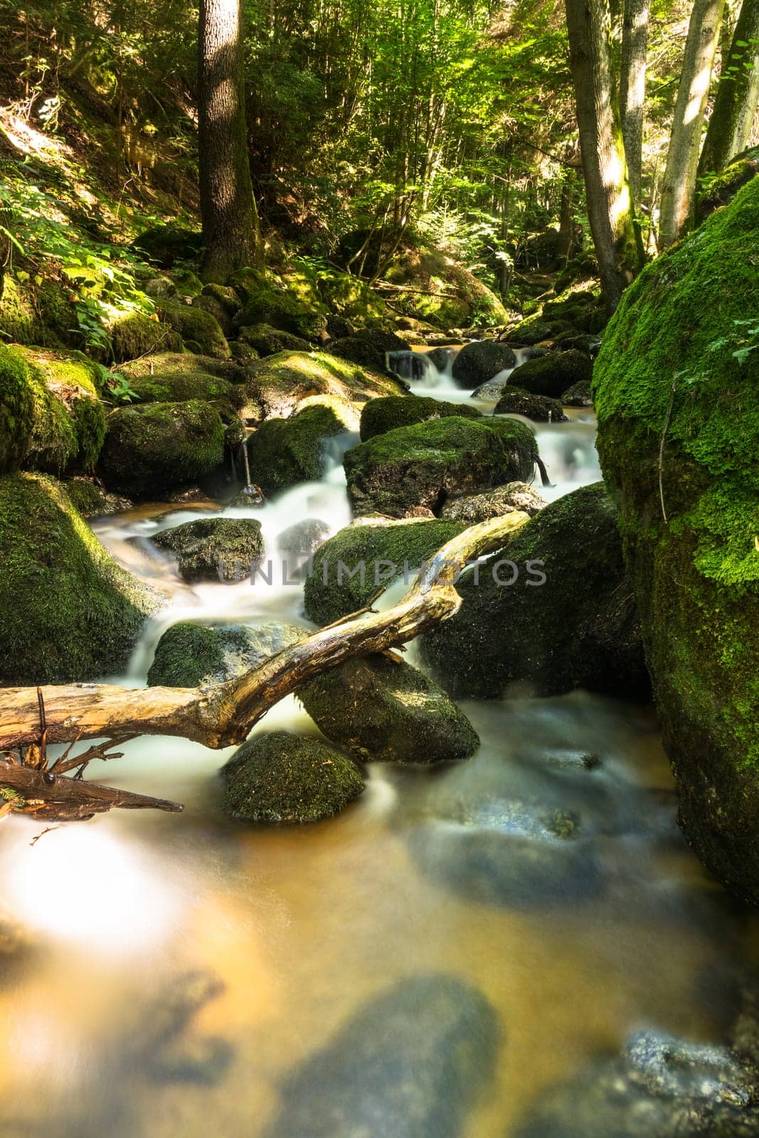Forest with mountain stream,picturesque landscape with waterfall and moss-covered stones