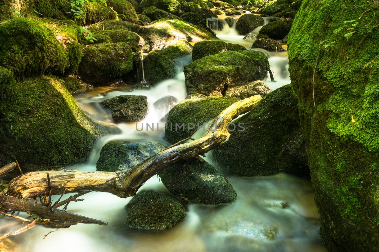 Forest with mountain stream,picturesque landscape with waterfall and moss-covered stones