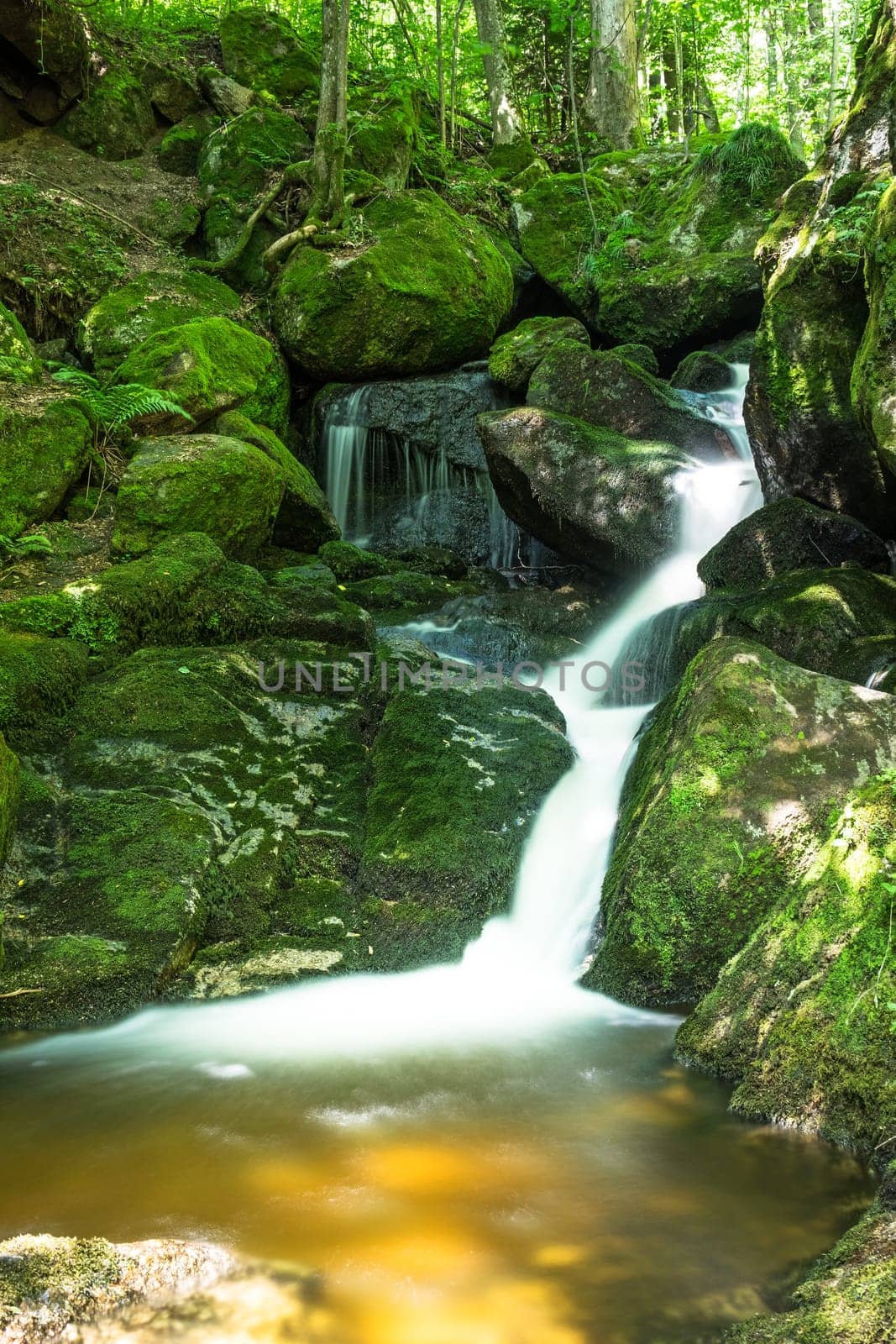 Forest with mountain stream,picturesque landscape with waterfall and moss-covered stones