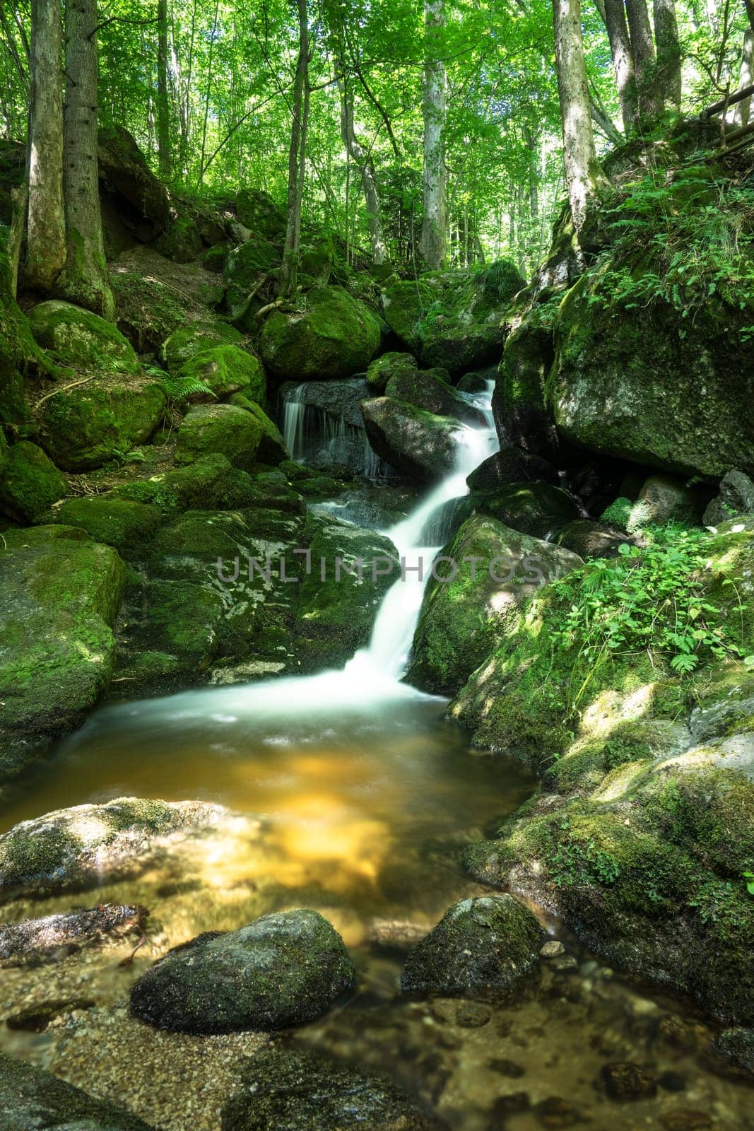 Forest with mountain stream,picturesque landscape with waterfall and moss-covered stones
