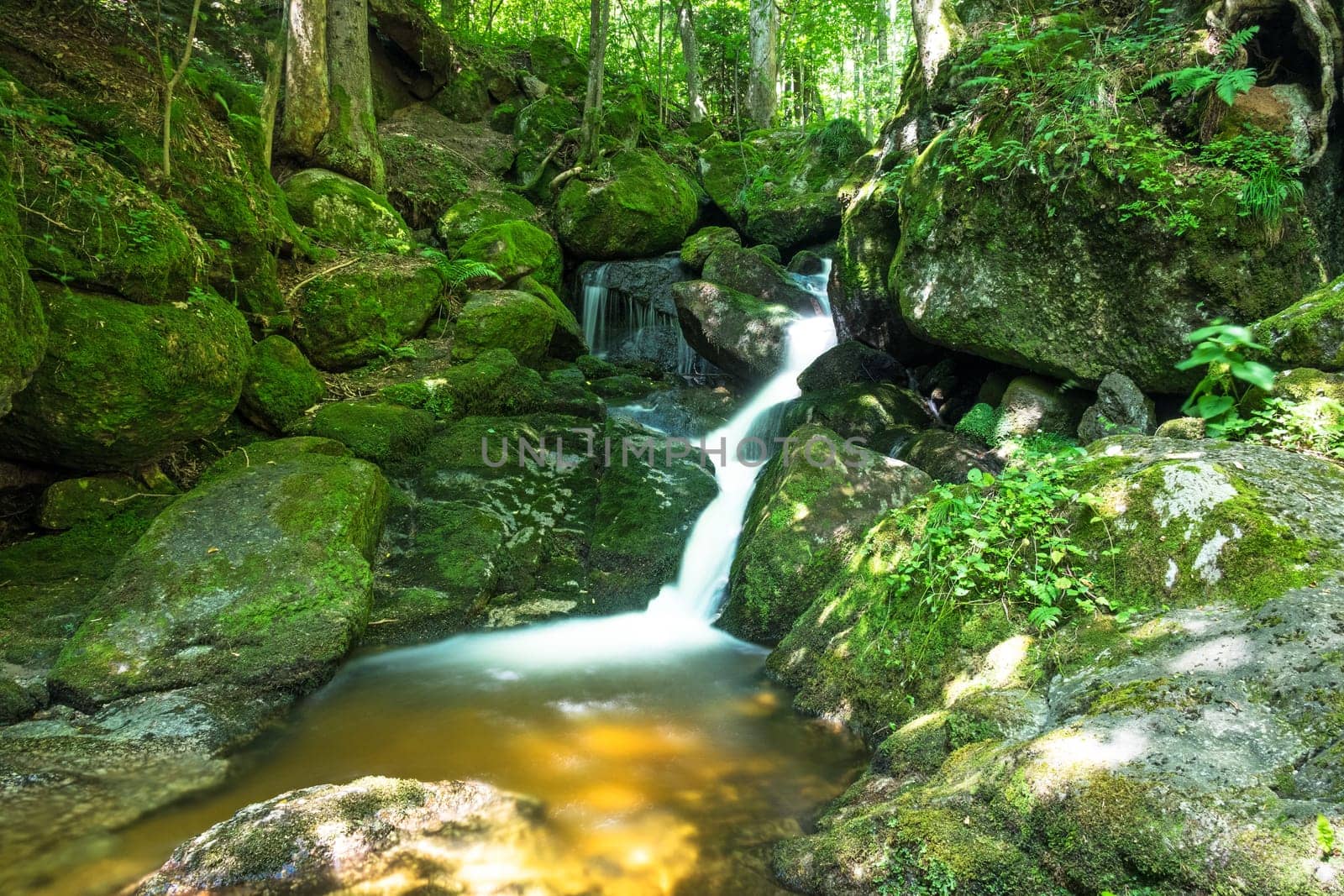 Forest with mountain stream,picturesque landscape with waterfall and moss-covered stones