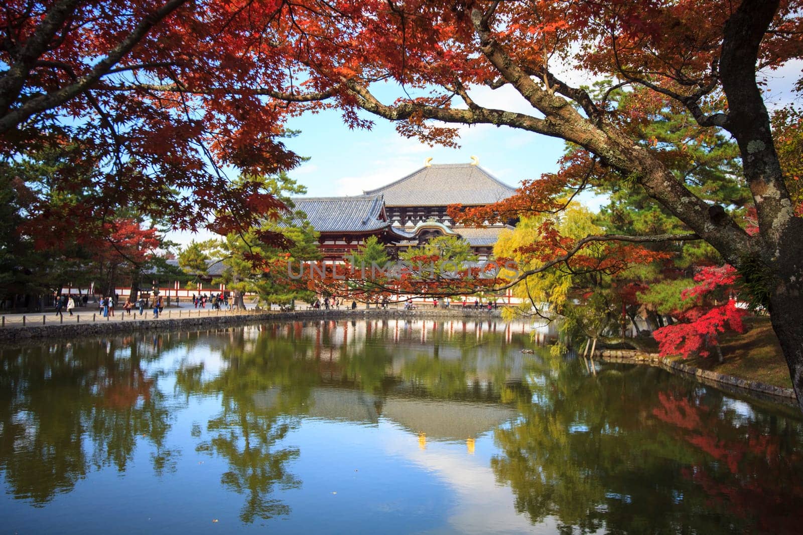 The fall season with beautiful maple color at Nara Park, Japan
