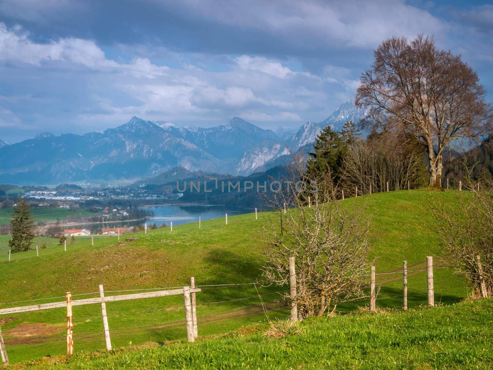 View from an alpine meadow over the Weißensee to the town of Füssen and the Schwangau with the mountain range behind it