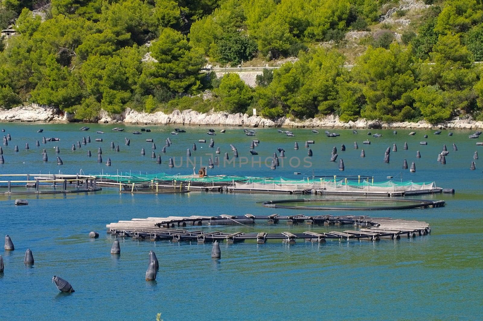 Aquaculture - Aquaculture,marine open water fish farm