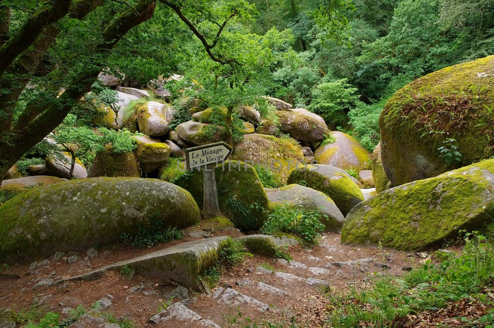 Forest of Huelgoat Le Menage de la Vierge in Brittany,France - Huelgoat forest Le Menage de la Vierge in Brittany,France