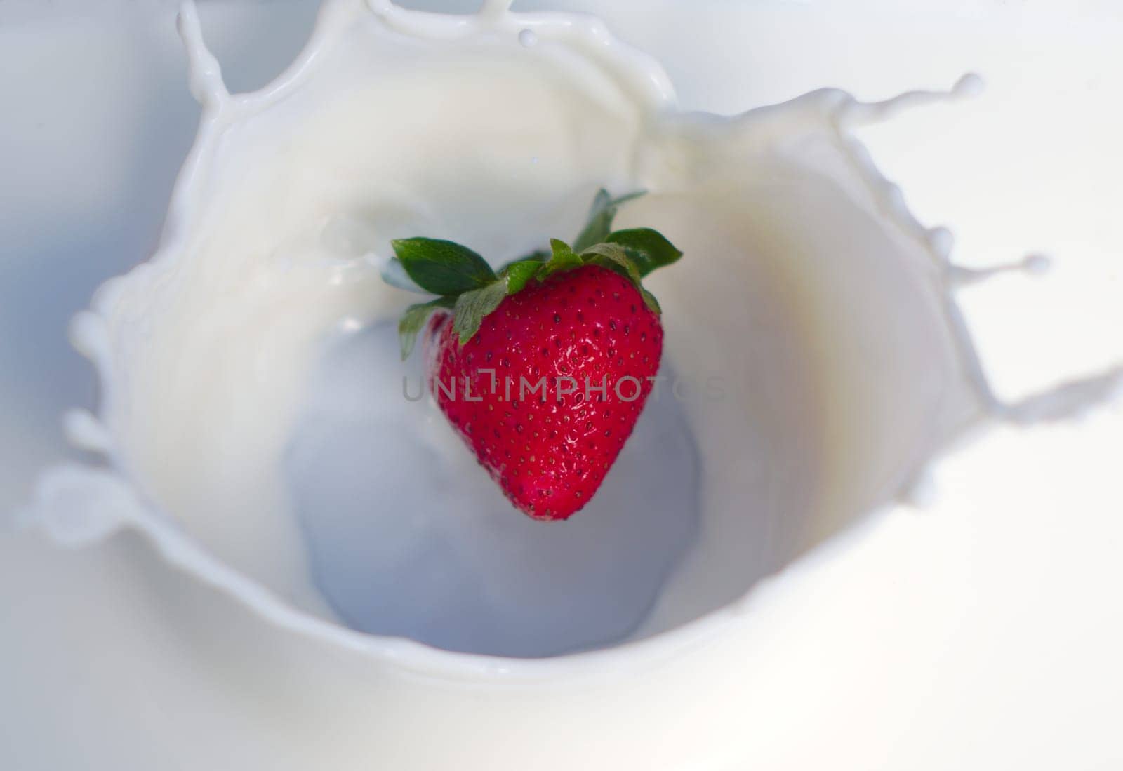 cream splashing strawberry cream organic fruit milk mix dairy