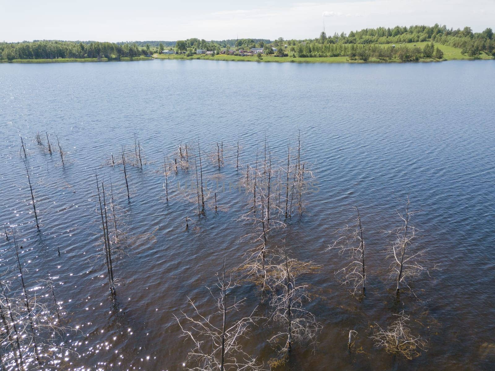 Sauriesi lake Aerial drone top view  latvia