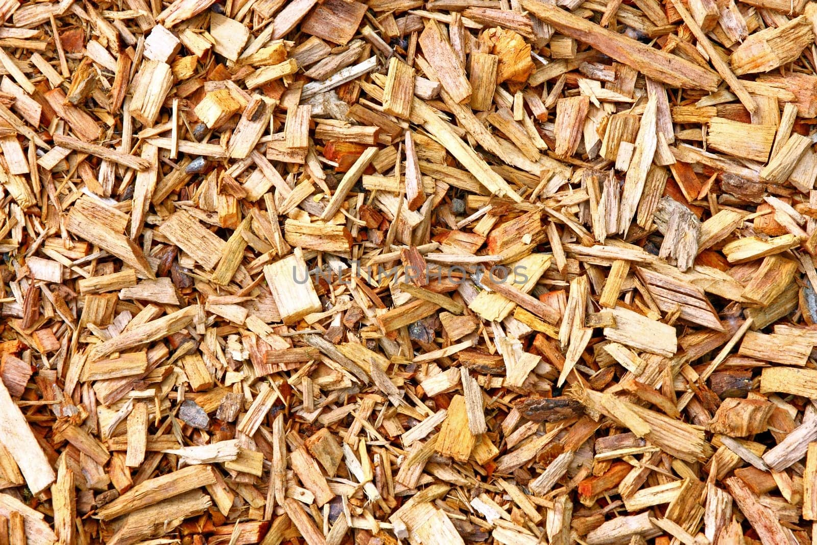 Texture of mulch. Natural background of wood chips