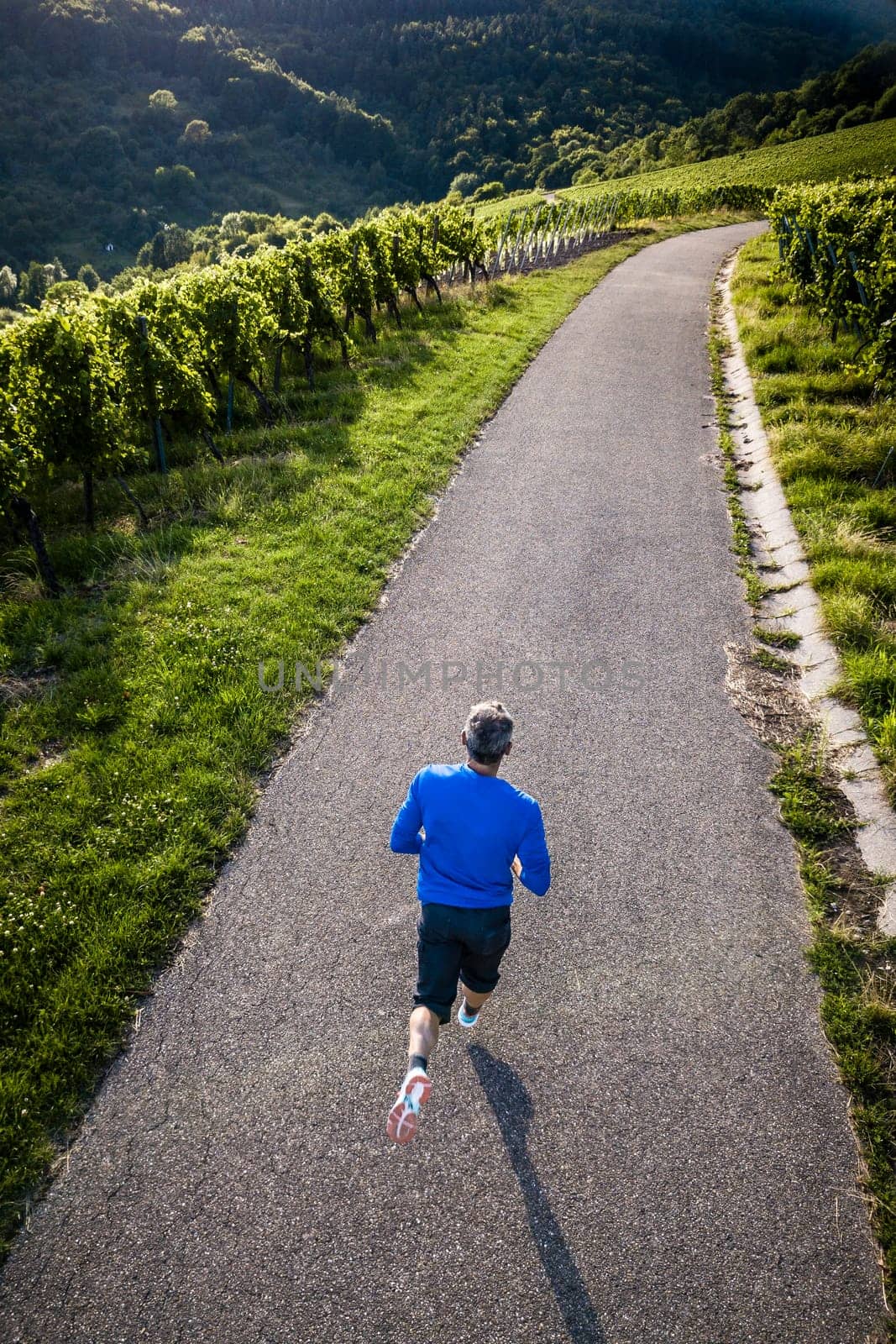 Jogger in the vineyards,view from above