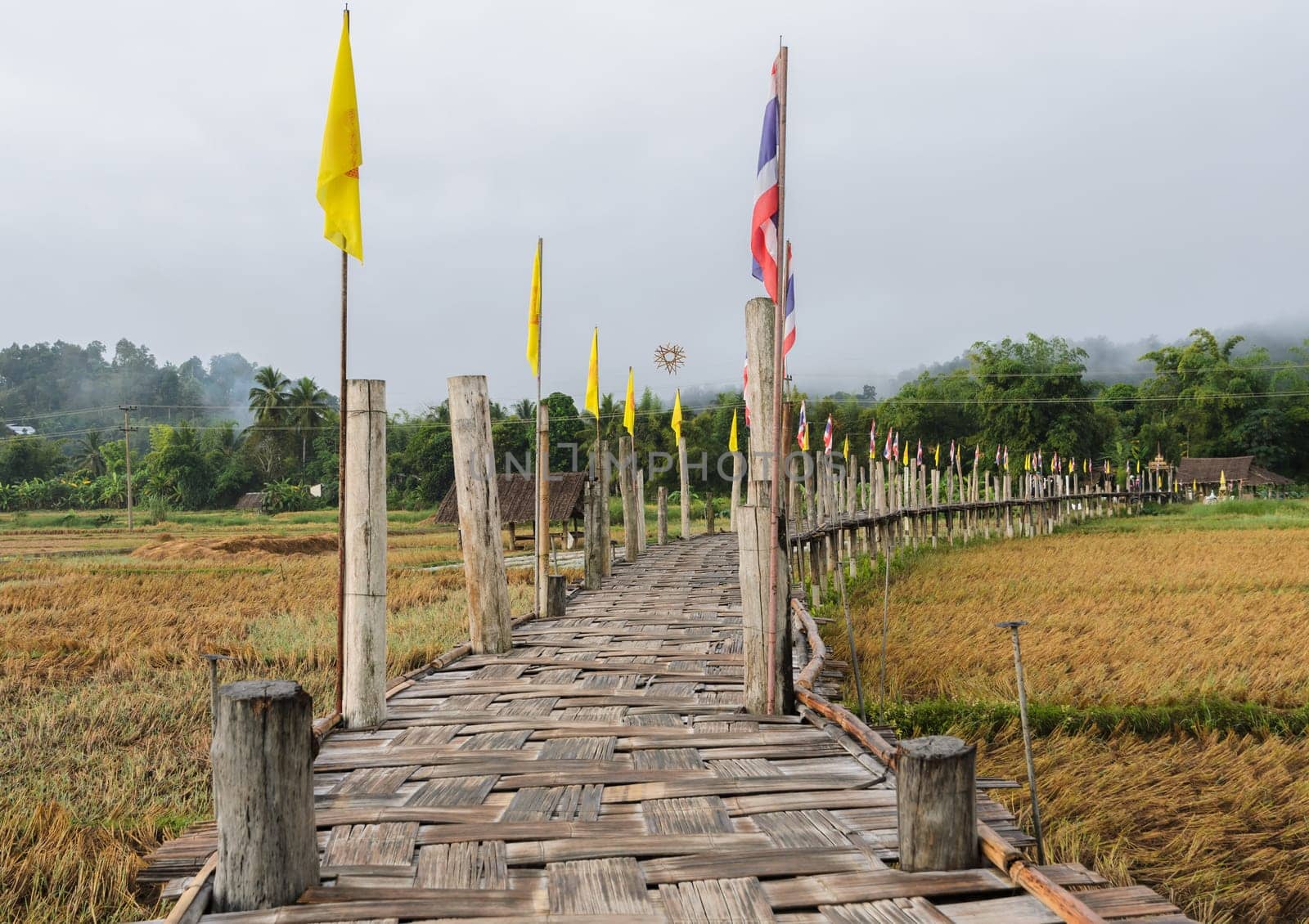 Beautiful view of Zu Tong Pae bamboo bridge pass rice field in Mae Hong Son, Thailand
