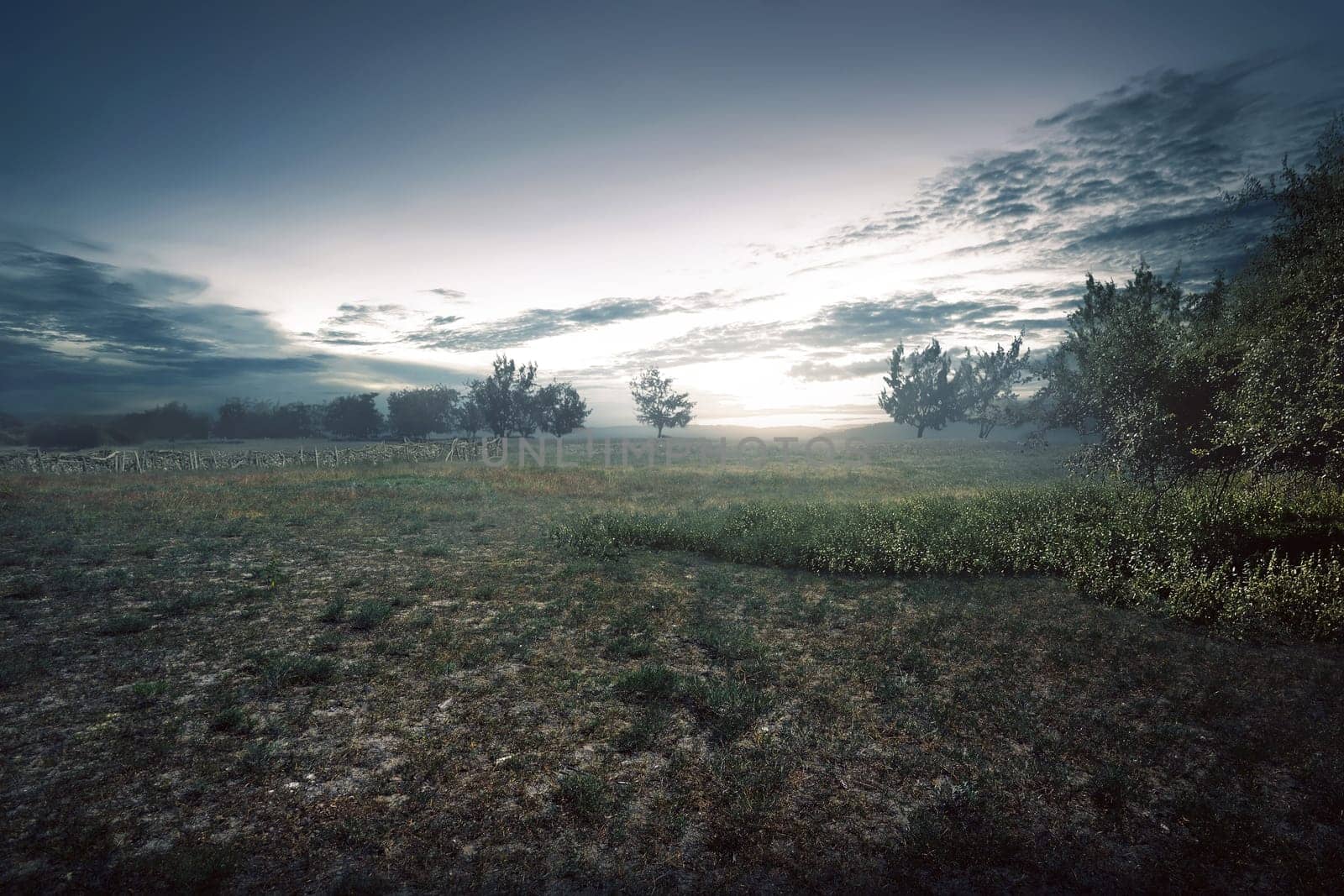 Dramatic scenery on the arid meadow field at sunset