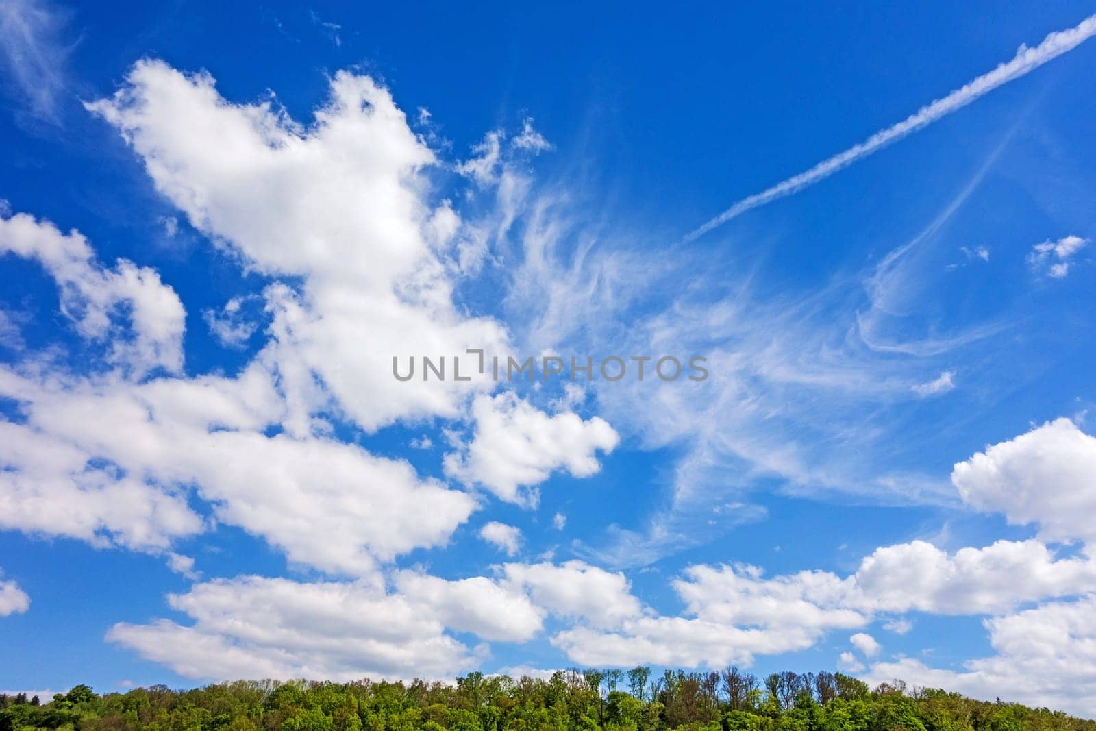 green trees with dark blue sky and white fluffy clouds