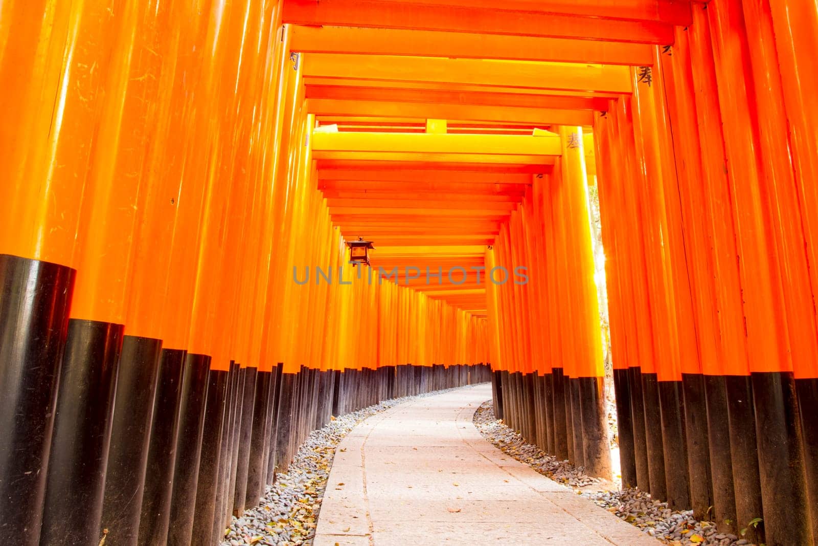 The beautiful orange color temple at Kyoto, Japan