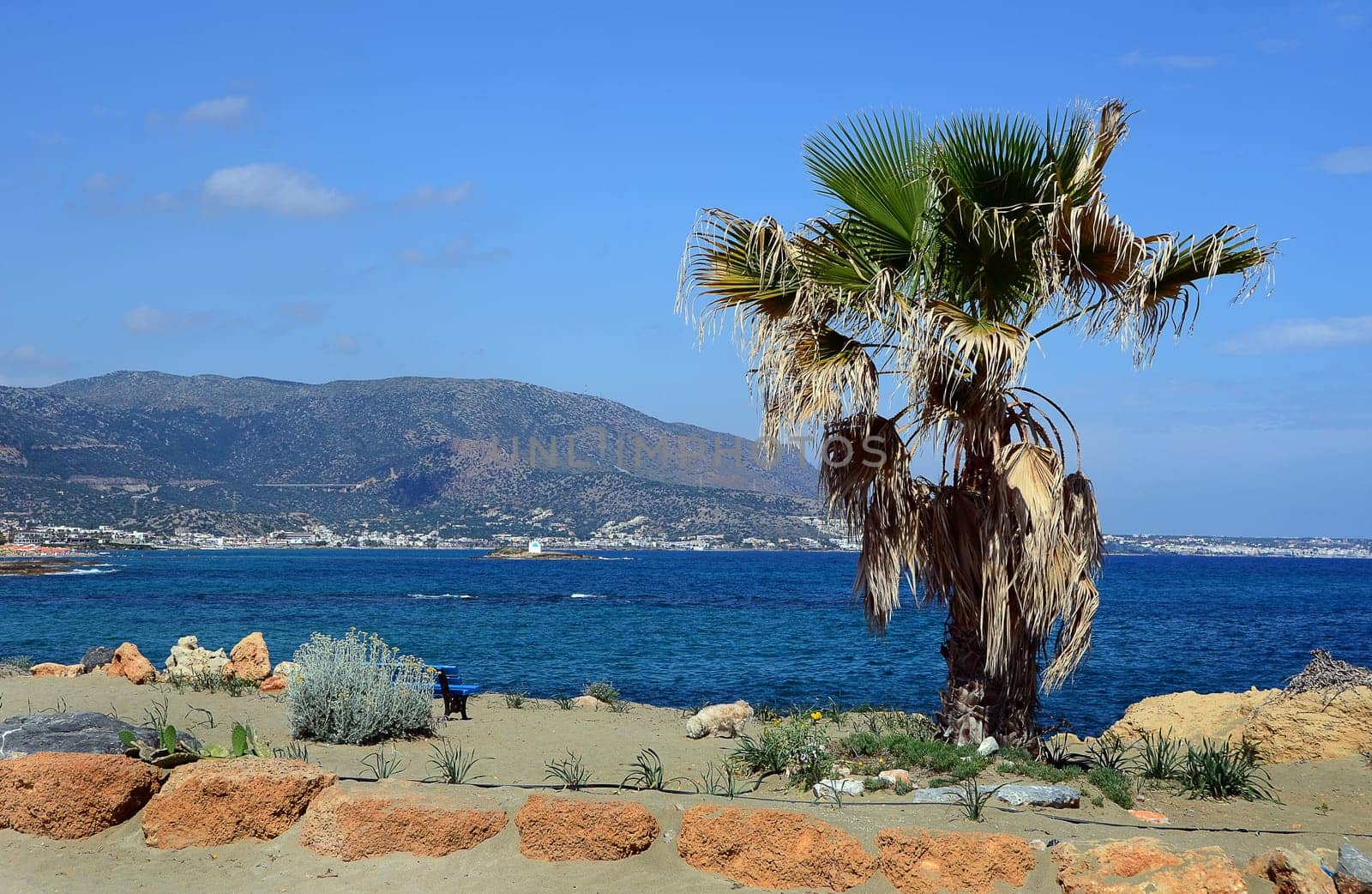 On the beach of Malia
