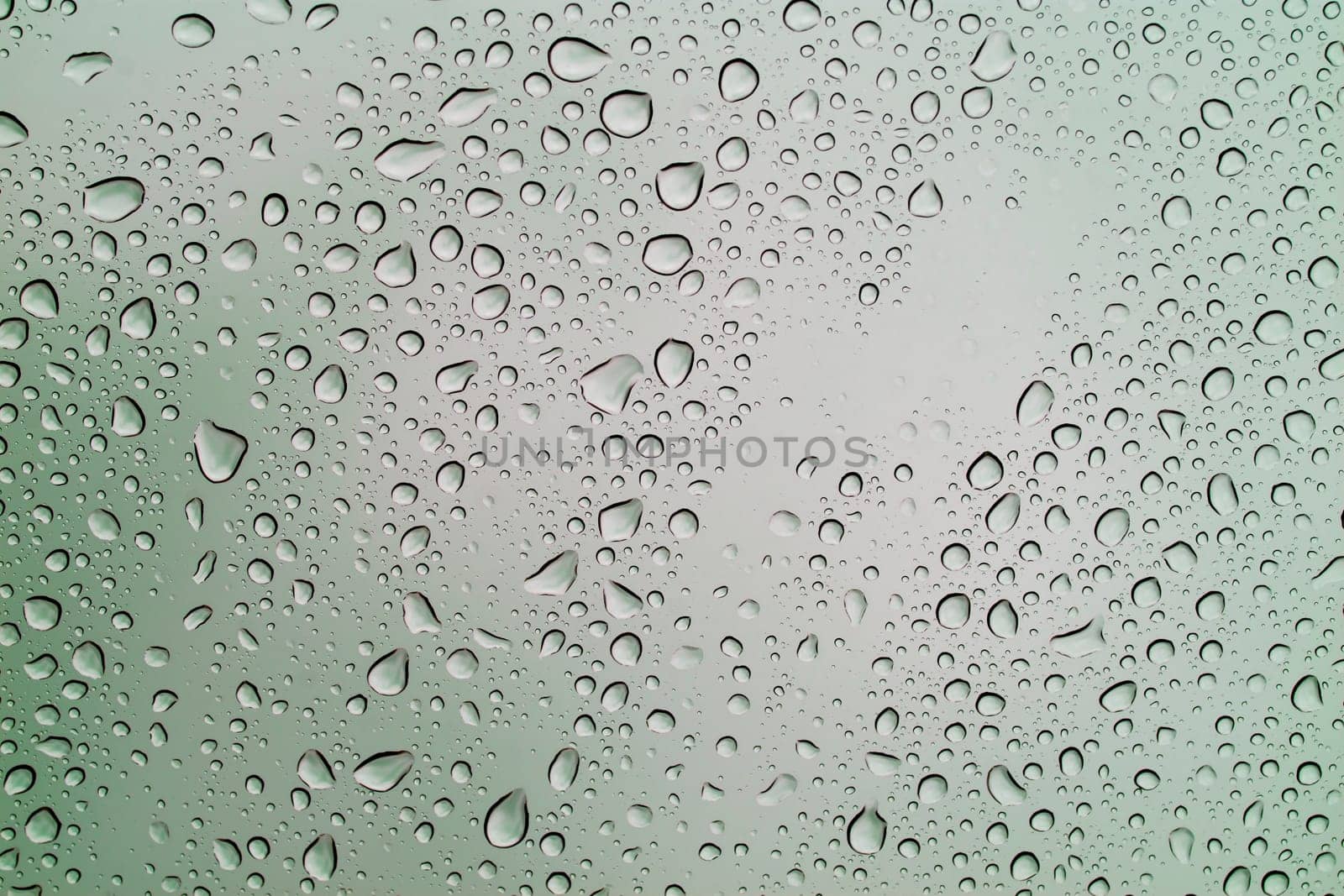 Rain drops background, water raindrop