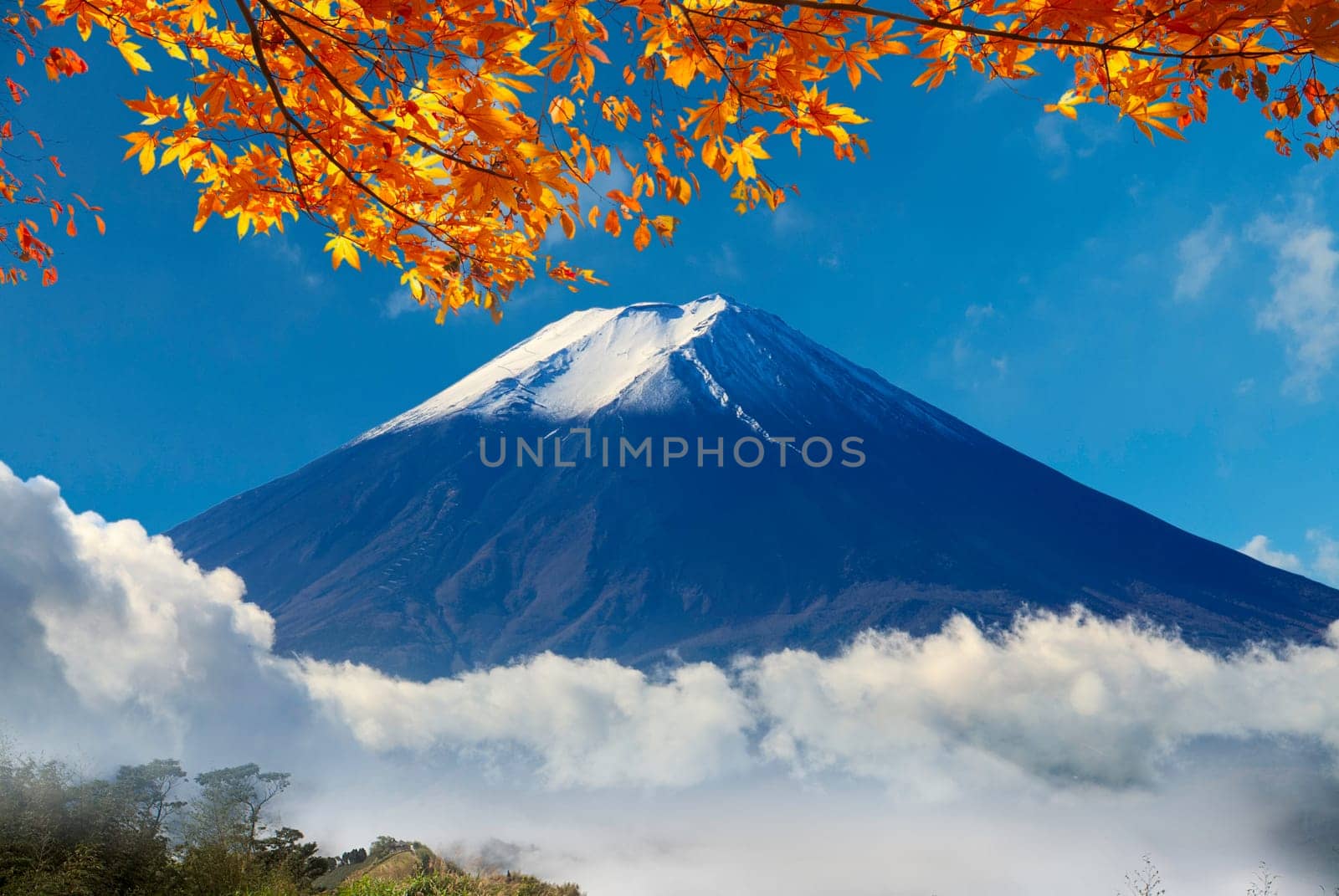 The image of beautiful landscapes with very nice color and background