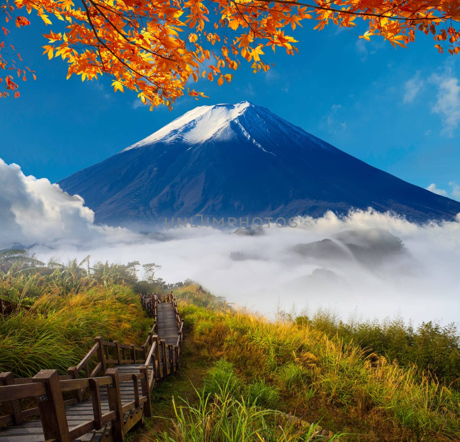 The image of beautiful landscapes with very nice color and background