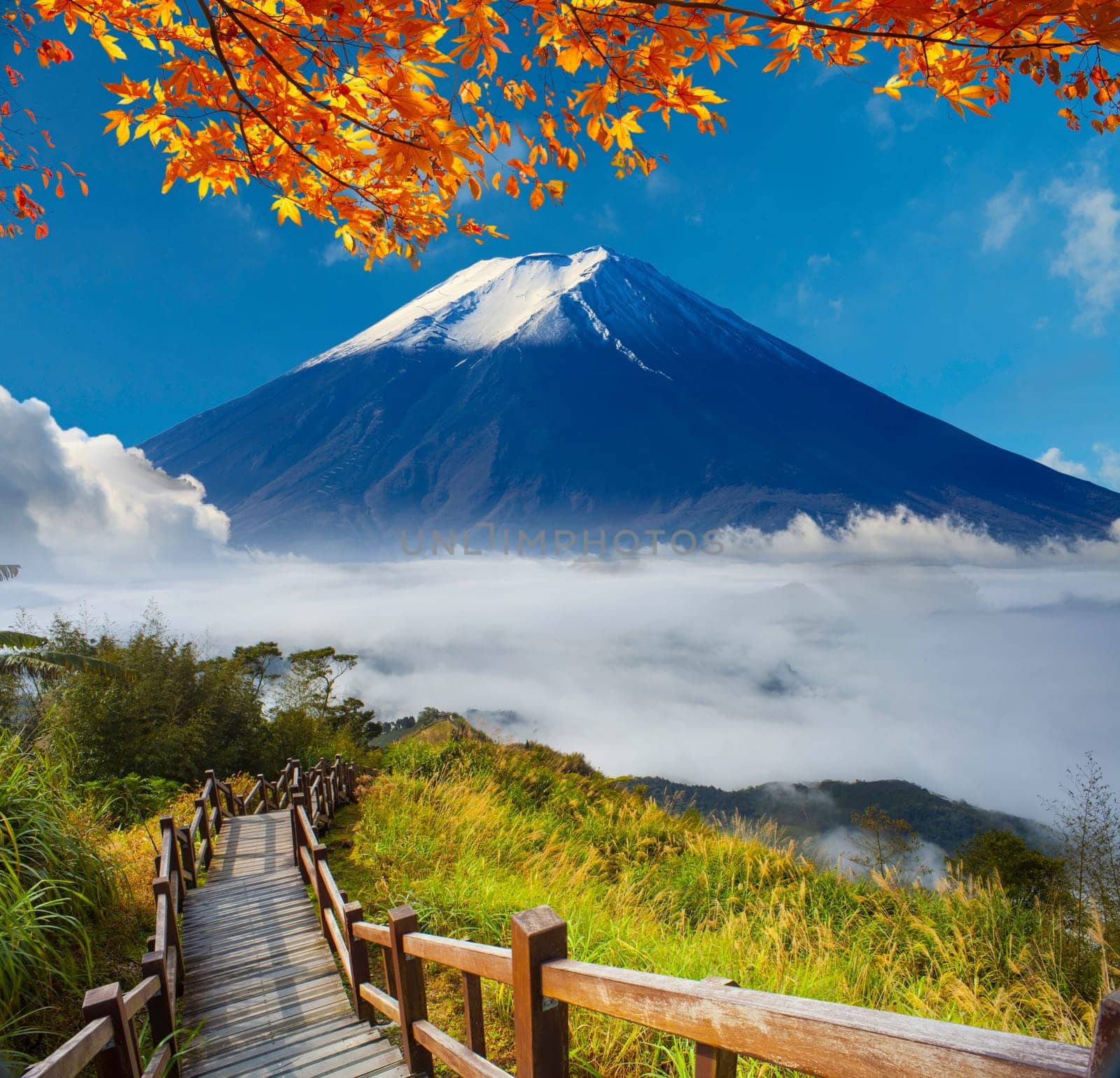 The image of beautiful landscapes with very nice color and background