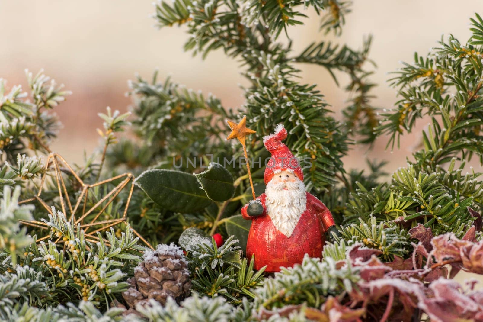 Christmas red St. Nicholas figure sits between fir branches in the frost