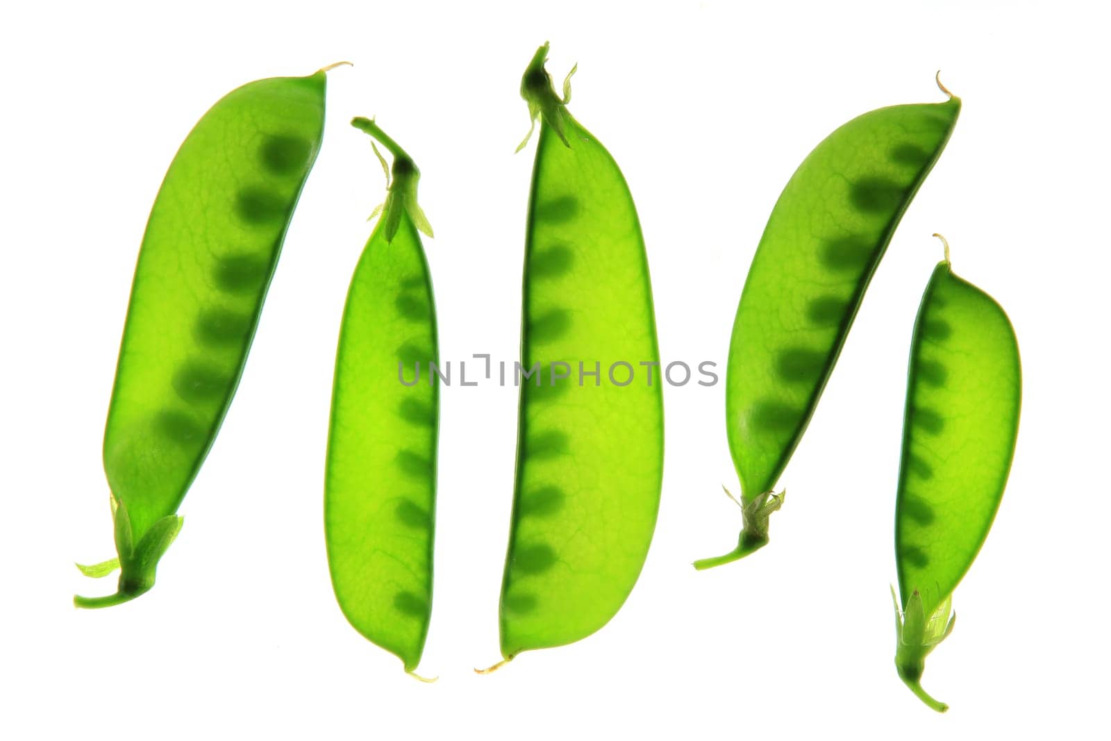 Sugar peas,sugar snap peas,kefe (Pisum sativum) pods exposed against a white background