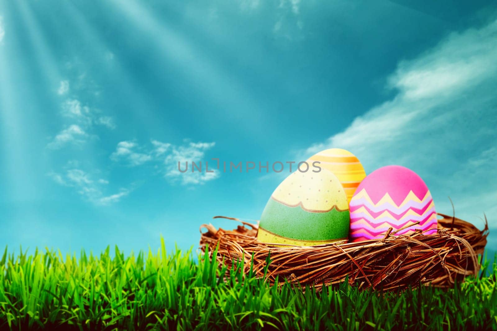 Decorated egg inside the nest. Happy easter concept