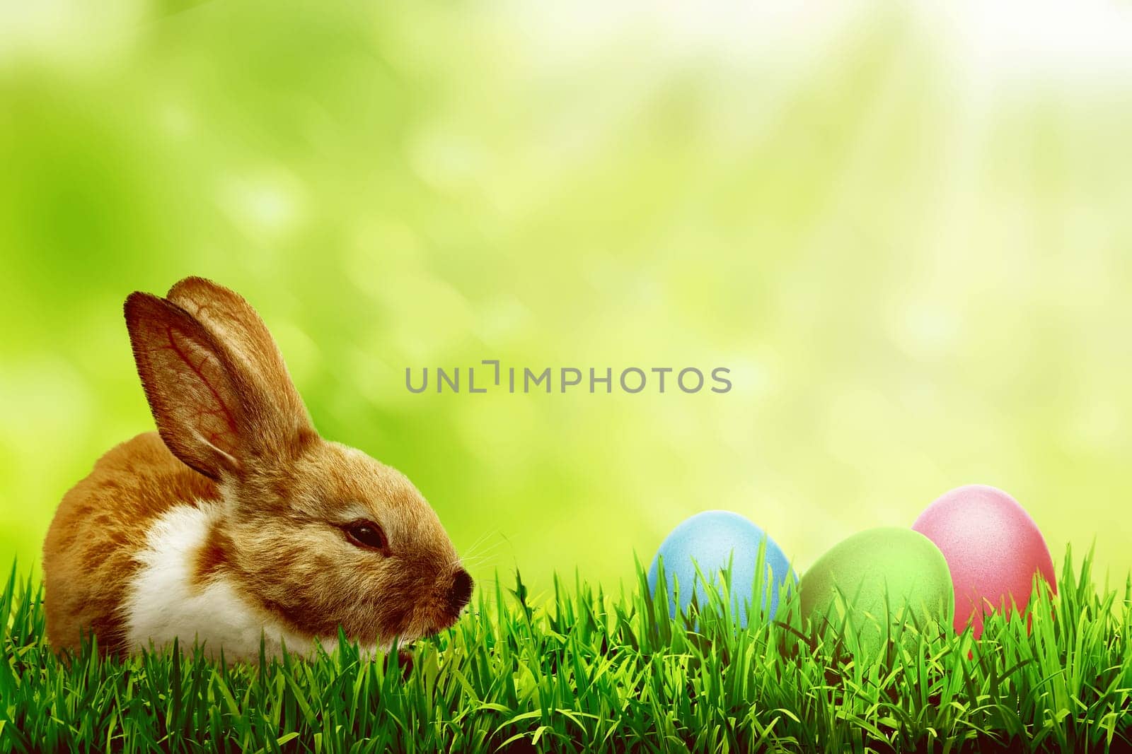 Easter egg on the grass with cute bunny