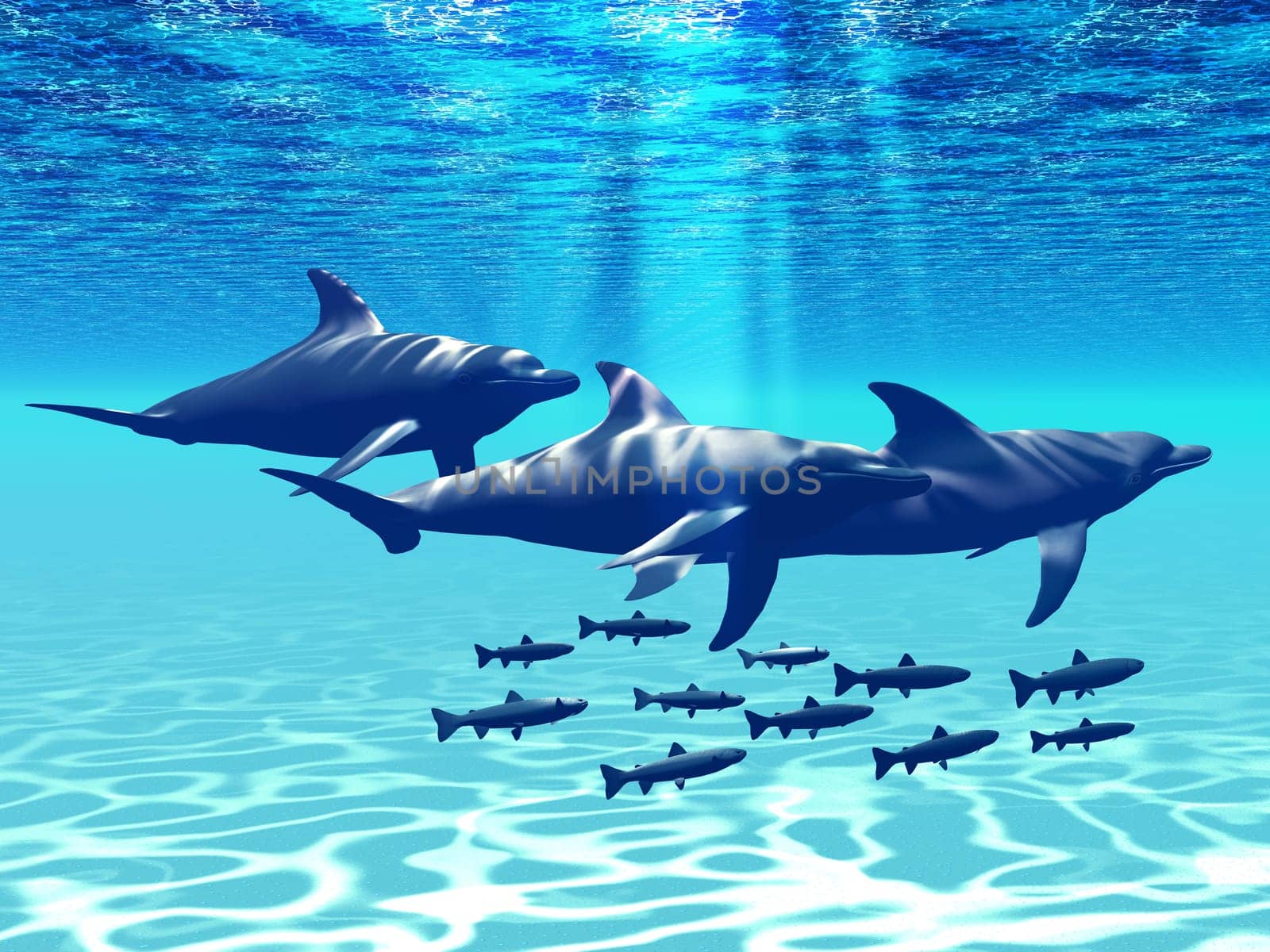 A pod of dolphins play with a school of fisn in shallow ocean waters.