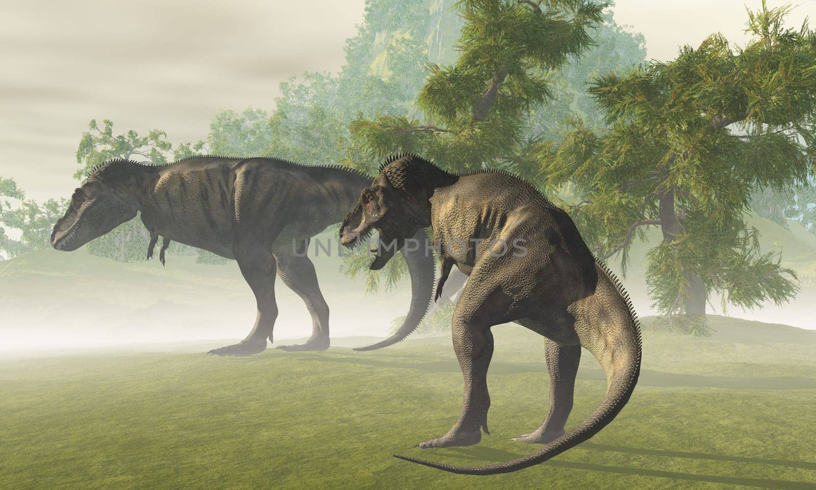 A misty dawn finds two Tyrannosaurus Rex dinosaurs on the hunt for prey.